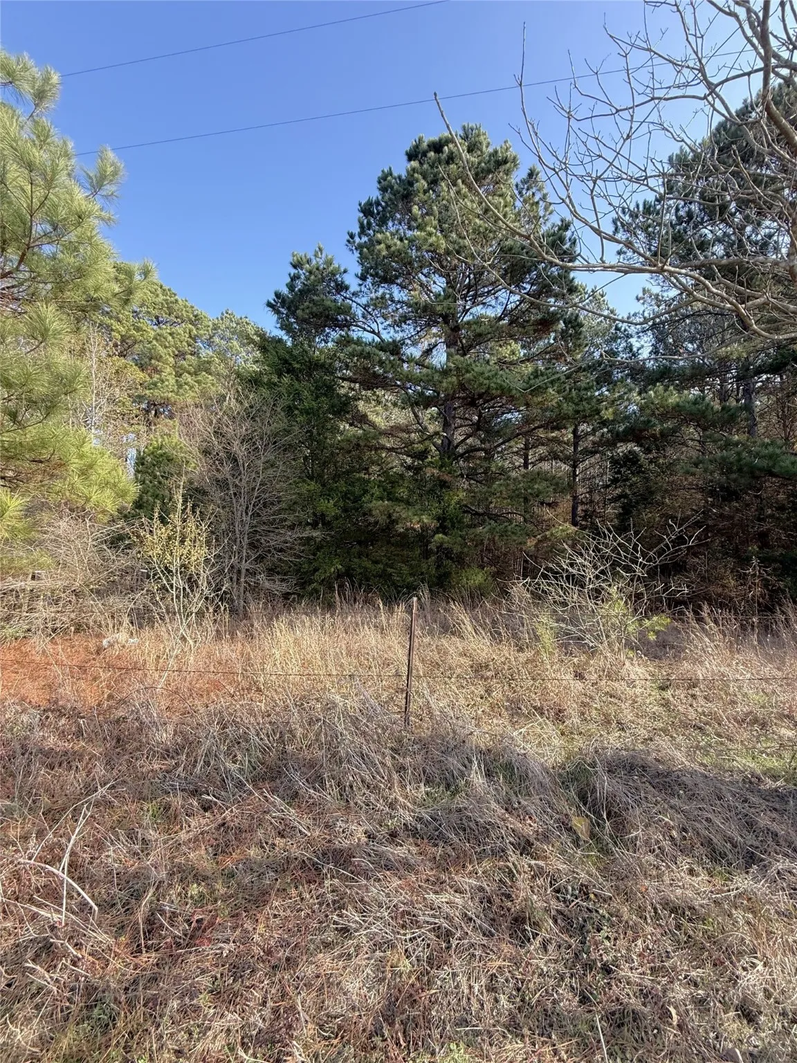 Unimproved Land For Sale in Cass County , TBD FM 2888, Marietta, Texas 75566, 0, 0, Garage spaces, 0 Sqft, built in 0, Price $92,500, mls#21137394, Real Estate Agent in Marietta, Homes For Sale in Cass county, Homes For Sale in Marietta, Realtor in Marietta Texas, Real Estate Brokerage Independent Realty Texas, Luminita Cordes Realtor