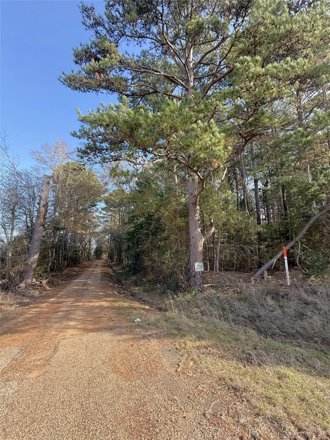Unimproved Land For Sale in Cass County , TBD FM 2888, Marietta, Texas 75566, 0, 0, Garage spaces, 0 Sqft, built in 0, Price $92,500, mls#21137394, Real Estate Agent in Marietta, Homes For Sale in Cass county, Homes For Sale in Marietta, Realtor in Marietta Texas, Real Estate Brokerage Independent Realty Texas, Luminita Cordes Realtor