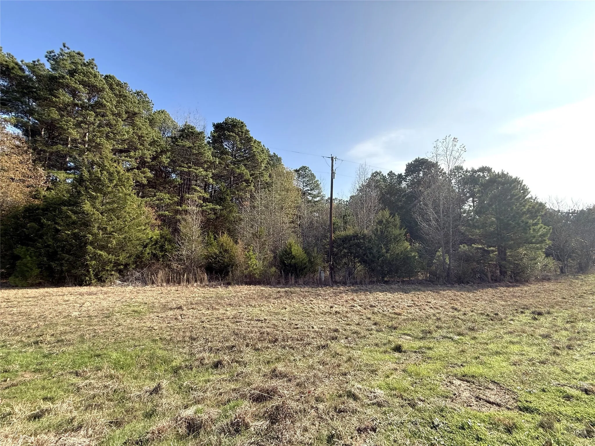 Unimproved Land For Sale in Cass County , TBD FM 2888, Marietta, Texas 75566, 0, 0, Garage spaces, 0 Sqft, built in 0, Price $92,500, mls#21137394, Real Estate Agent in Marietta, Homes For Sale in Cass county, Homes For Sale in Marietta, Realtor in Marietta Texas, Real Estate Brokerage Independent Realty Texas, Luminita Cordes Realtor