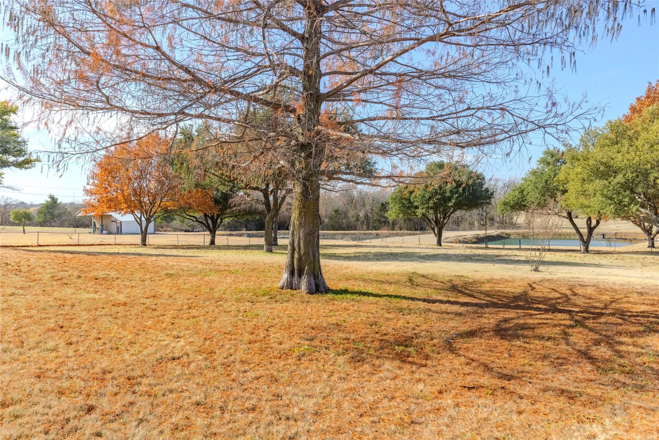 Single Family Residence For Sale in Collin County , 803 Westshore Drive, St Paul, Texas 75098, 3 Bedroom, 3 Bathroom, 2 Garage spaces, 2,263 Sqft, built in 1983, Preowned, mls#21135160, Real Estate Agent in St Paul, Homes For Sale in Collin county, Homes For Sale in St Paul, Realtor in St Paul Texas, Real Estate Brokerage Independent Realty Texas, Luminita Cordes Realtor