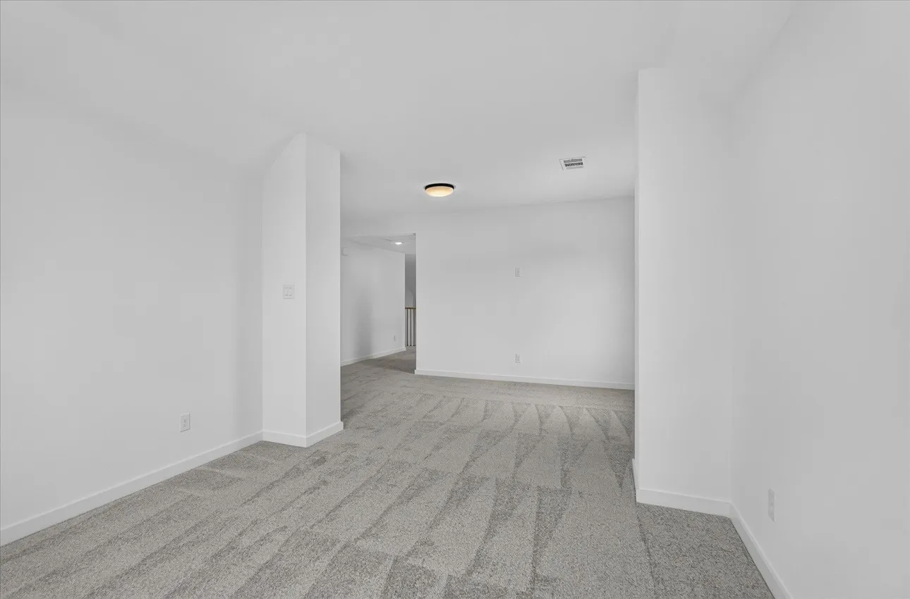 Entertainment Room