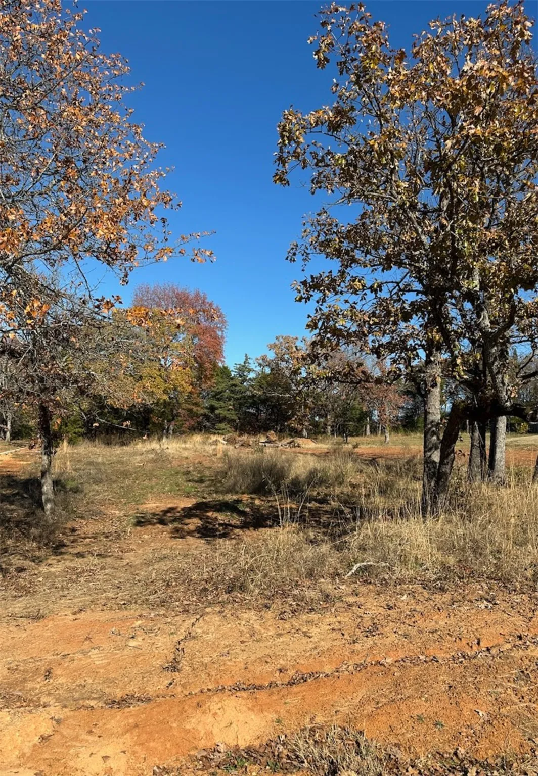 Unimproved Land For Sale in Smith County , 19668 Dove Ridge Drive, Lindale, Texas 75771, 0, 0, Garage spaces, 0 Sqft, built in 0, mls#21137604, Real Estate Agent in Lindale, Homes For Sale in Smith county, Homes For Sale in Lindale, Realtor in Lindale Texas, Real Estate Brokerage Independent Realty Texas, Luminita Cordes Realtor