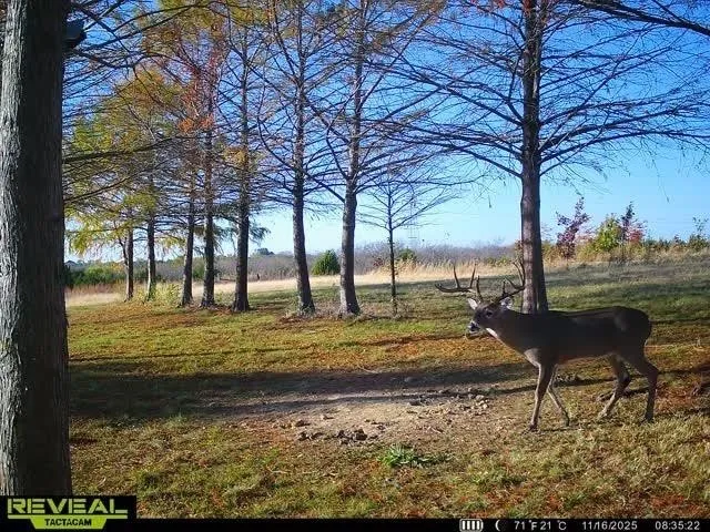 Wildlife often seen on​​‌​​​​‌​​‌‌​‌‌​​​‌‌​‌​‌​‌​​​‌​​ property