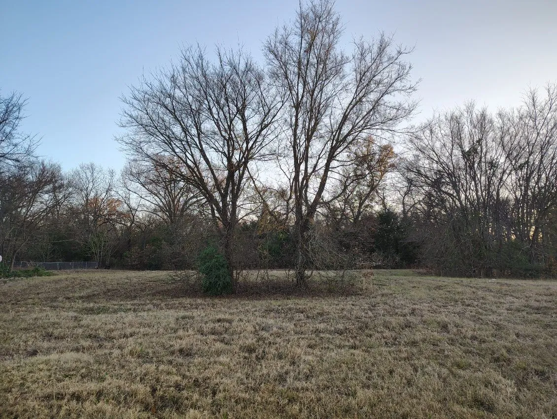 Improved Land For Sale in Wood County , 16D Whitefoot, Quitman, Texas 75783, 0, 0, Garage spaces, 0 Sqft, built in 0, Price $63,000, mls#21137599, Real Estate Agent in Quitman, Homes For Sale in Wood county, Homes For Sale in Quitman, Realtor in Quitman Texas, Real Estate Brokerage Independent Realty Texas, Luminita Cordes Realtor