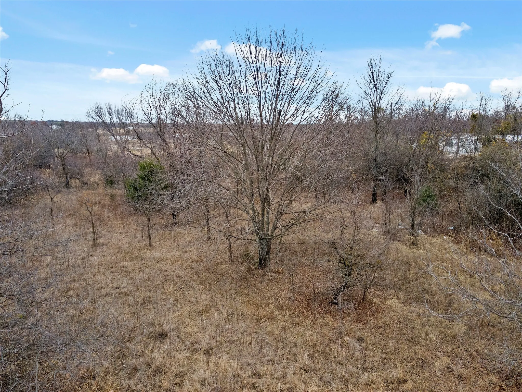 Unimproved Land For Sale in Wise County , 0 TBD Duncan Lane, Decatur, Texas 76234, 0, 0, Garage spaces, 0 Sqft, built in 0, Price $32,000, mls#21137744, Real Estate Agent in Decatur, Homes For Sale in Wise county, Homes For Sale in Decatur, Realtor in Decatur Texas, Real Estate Brokerage Independent Realty Texas, Luminita Cordes Realtor