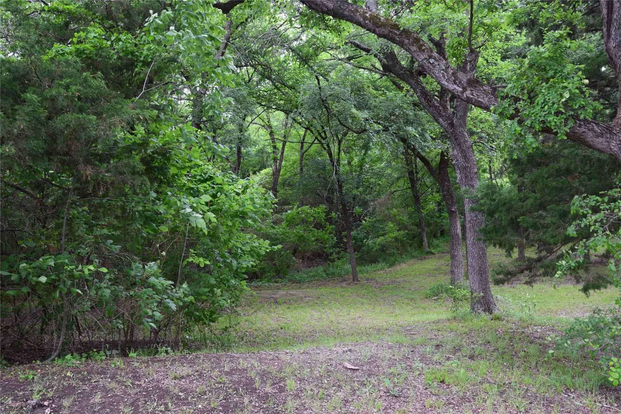 Unimproved Land For Sale in Collin County , 125 N Lost Valley Drive, Lucas, Texas 75002, 0, 0, Garage spaces, 0 Sqft, built in 0, mls#21137808, Real Estate Agent in Lucas, Homes For Sale in Collin county, Homes For Sale in Lucas, Realtor in Lucas Texas, Real Estate Brokerage Independent Realty Texas, Luminita Cordes Realtor