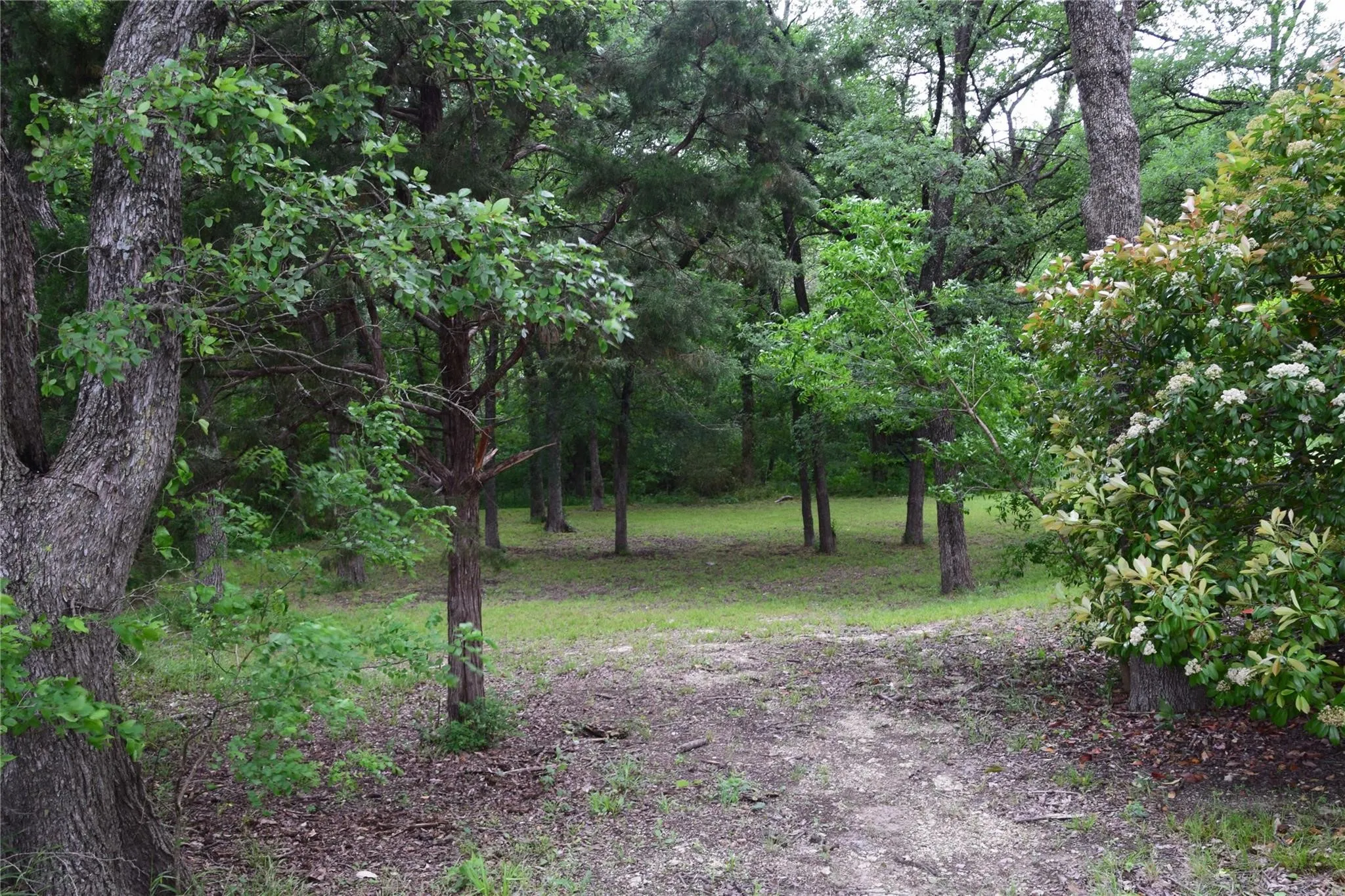 Unimproved Land For Sale in Collin County , 125 N Lost Valley Drive, Lucas, Texas 75002, 0, 0, Garage spaces, 0 Sqft, built in 0, mls#21137808, Real Estate Agent in Lucas, Homes For Sale in Collin county, Homes For Sale in Lucas, Realtor in Lucas Texas, Real Estate Brokerage Independent Realty Texas, Luminita Cordes Realtor