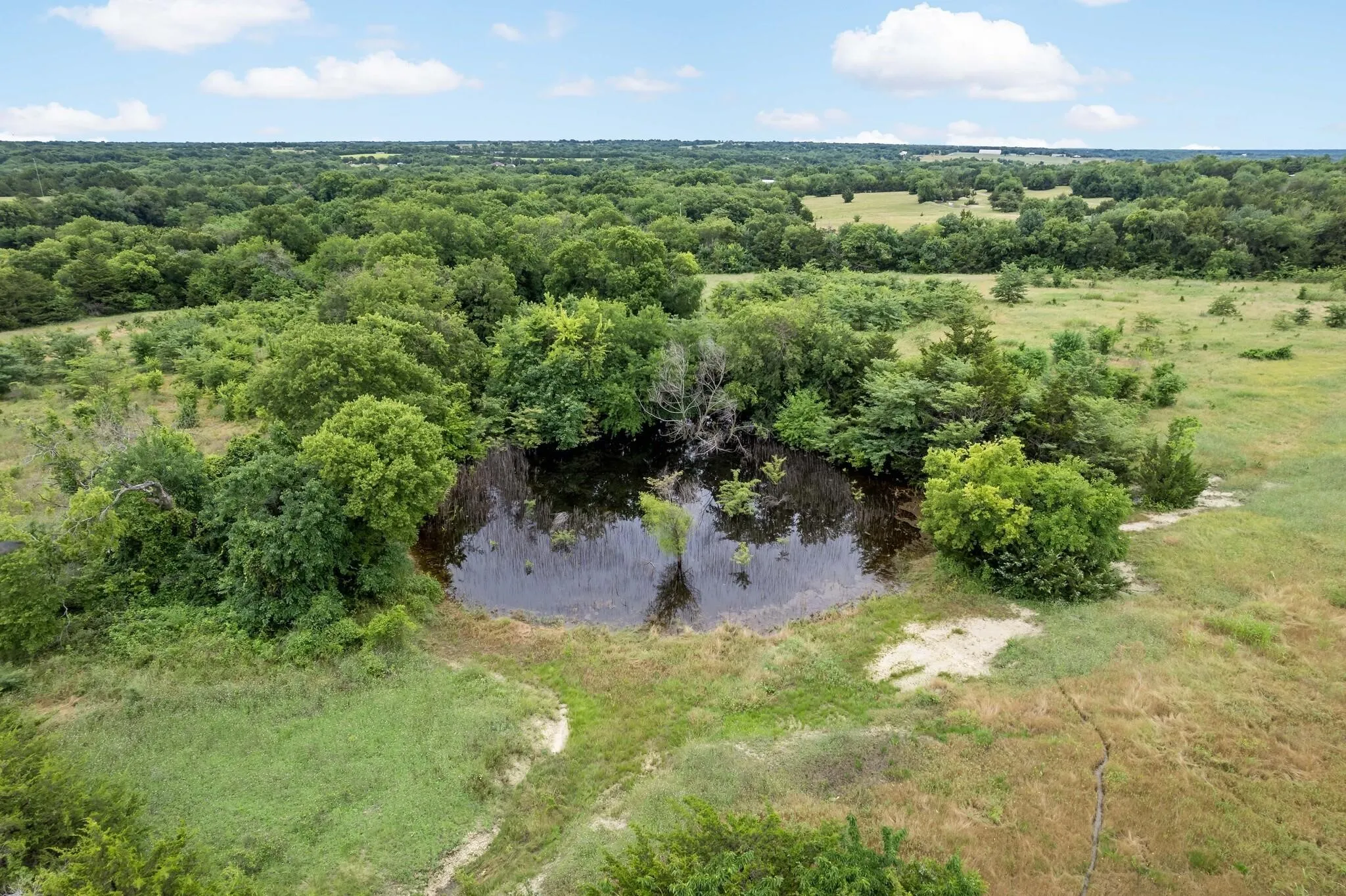 Unimproved Land For Sale in Grayson County , 207 Possom Trot Hollow Road, Whitewright, Texas 75491, 0, 0, Garage spaces, 0 Sqft, built in 0, Price $1,347,500, mls#21137756, Real Estate Agent in Whitewright, Homes For Sale in Grayson county, Homes For Sale in Whitewright, Realtor in Whitewright Texas, Real Estate Brokerage Independent Realty Texas, Luminita Cordes Realtor
