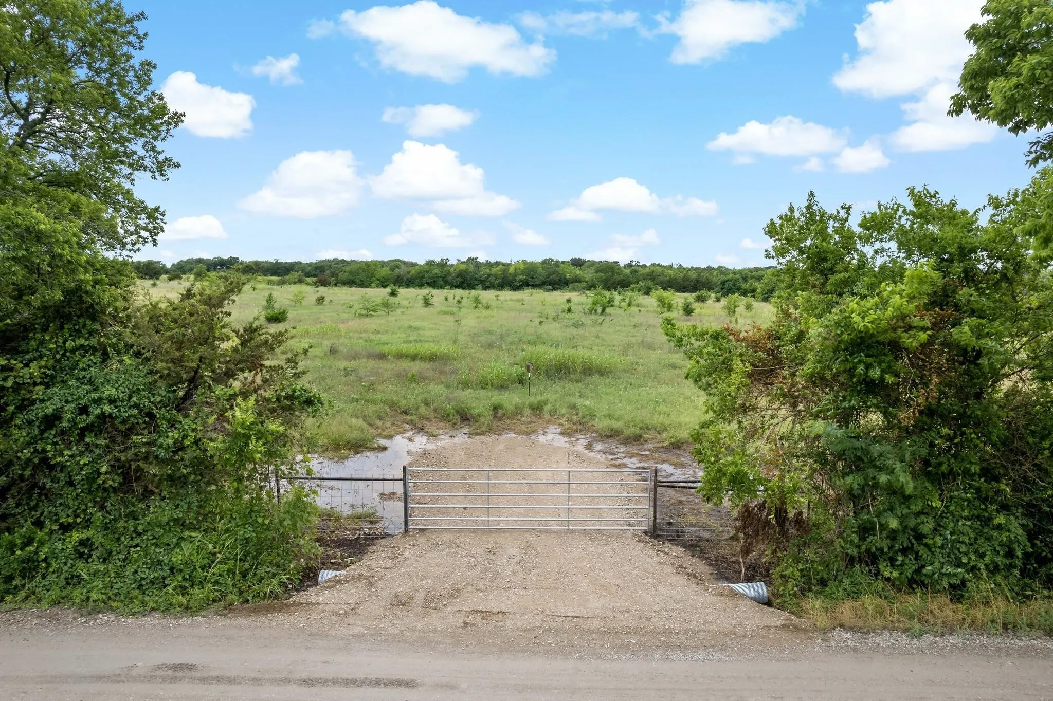 Unimproved Land For Sale in Grayson County , 207 Possom Trot Hollow Road, Whitewright, Texas 75491, 0, 0, Garage spaces, 0 Sqft, built in 0, Price $1,347,500, mls#21137756, Real Estate Agent in Whitewright, Homes For Sale in Grayson county, Homes For Sale in Whitewright, Realtor in Whitewright Texas, Real Estate Brokerage Independent Realty Texas, Luminita Cordes Realtor