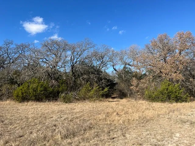 Ranch For Sale in Hamilton County , 1705a CR 122, Hico, Texas 76457, 0, 0, Garage spaces, 0 Sqft, built in 0, Price $1,750,000, mls#21137932, Real Estate Agent in Hico, Homes For Sale in Hamilton county, Homes For Sale in Hico, Realtor in Hico Texas, Real Estate Brokerage Independent Realty Texas, Luminita Cordes Realtor