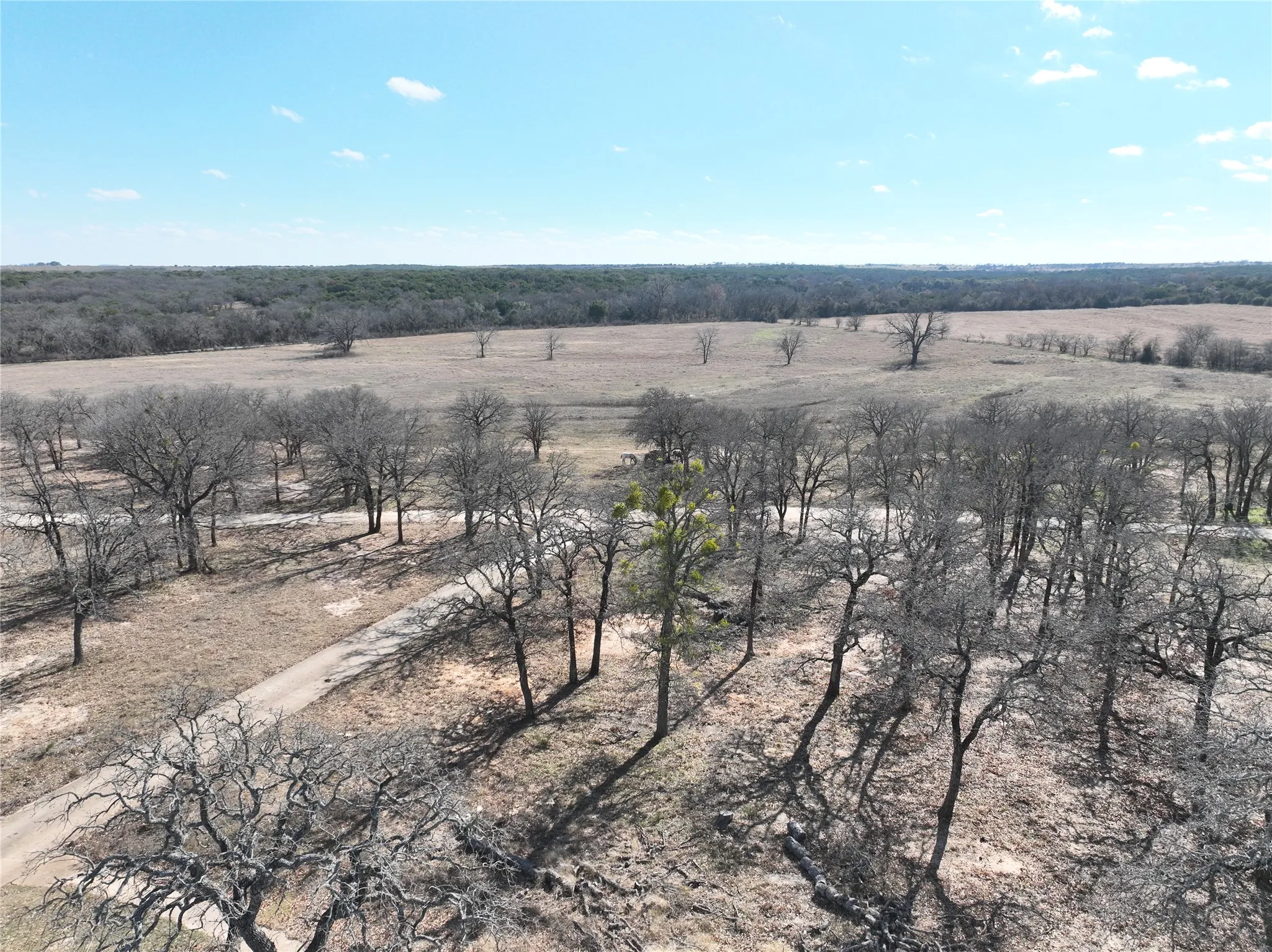 Ranch For Sale in Hamilton County , 1705a CR 122, Hico, Texas 76457, 0, 0, Garage spaces, 0 Sqft, built in 0, Price $1,750,000, mls#21137932, Real Estate Agent in Hico, Homes For Sale in Hamilton county, Homes For Sale in Hico, Realtor in Hico Texas, Real Estate Brokerage Independent Realty Texas, Luminita Cordes Realtor