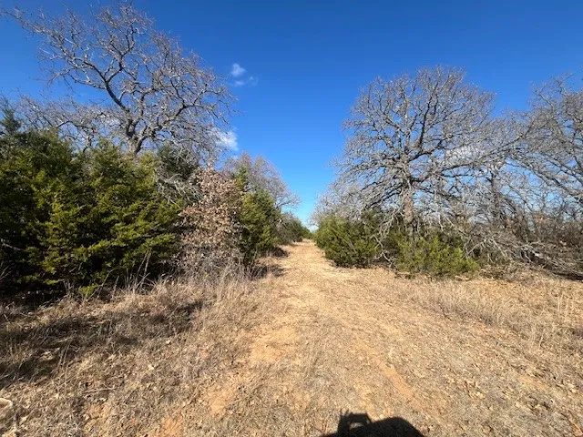 Ranch For Sale in Hamilton County , 1705a CR 122, Hico, Texas 76457, 0, 0, Garage spaces, 0 Sqft, built in 0, Price $1,750,000, mls#21137932, Real Estate Agent in Hico, Homes For Sale in Hamilton county, Homes For Sale in Hico, Realtor in Hico Texas, Real Estate Brokerage Independent Realty Texas, Luminita Cordes Realtor