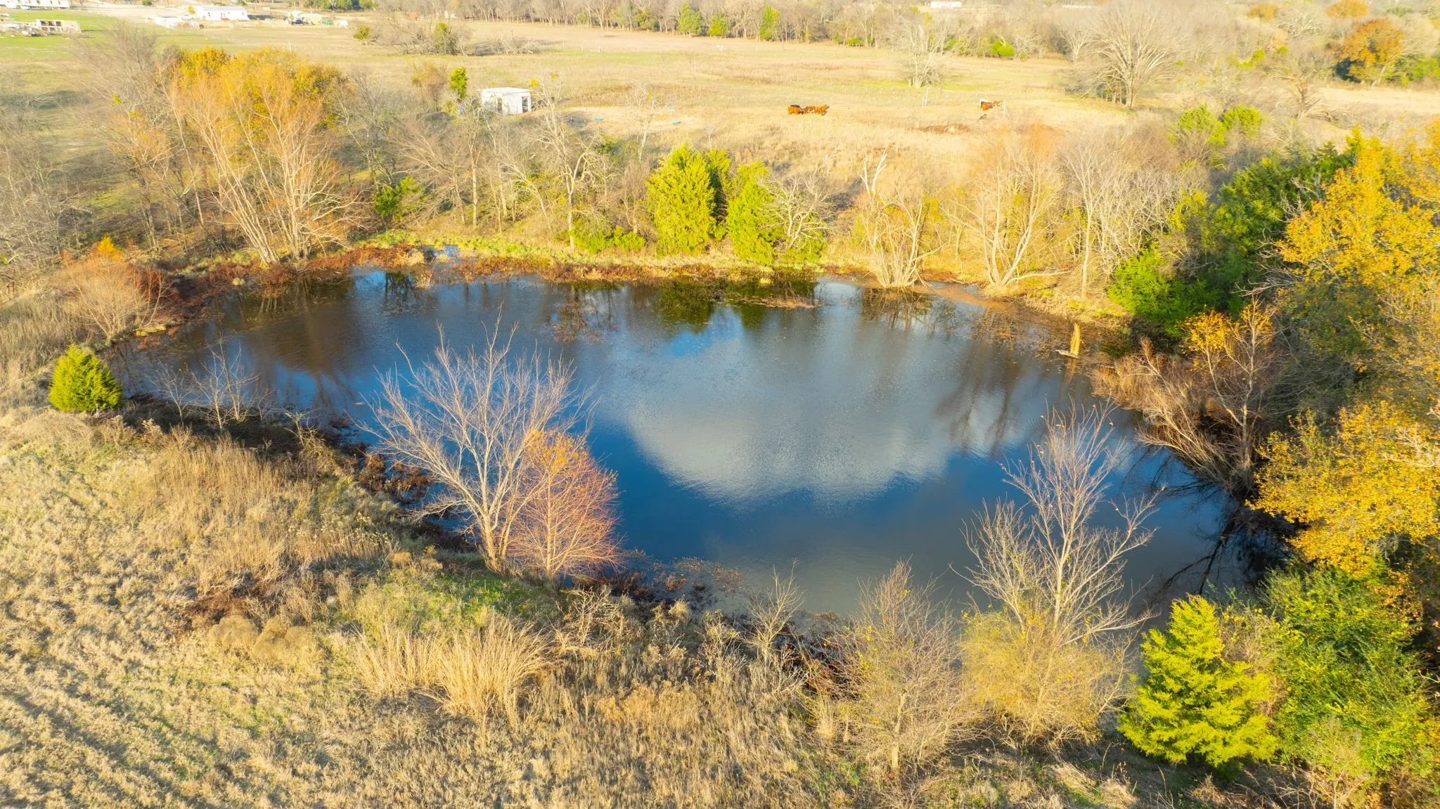 Single Family Residence For Sale in Van Zandt County , 1495 VZ CR 3908 112155, Wills Point, Texas 75169, 3 Bedrooms, 2 Bathrooms, Garage spaces, 1,512 Sqft, built in 2024, New Construction - Incomplete, Price $390,000, mls#21137762, Real Estate Agent in Wills Point, Homes For Sale in Van Zandt county, Homes For Sale in Wills Point, Realtor in Wills Point Texas, Real Estate Brokerage Independent Realty Texas, Luminita Cordes Realtor