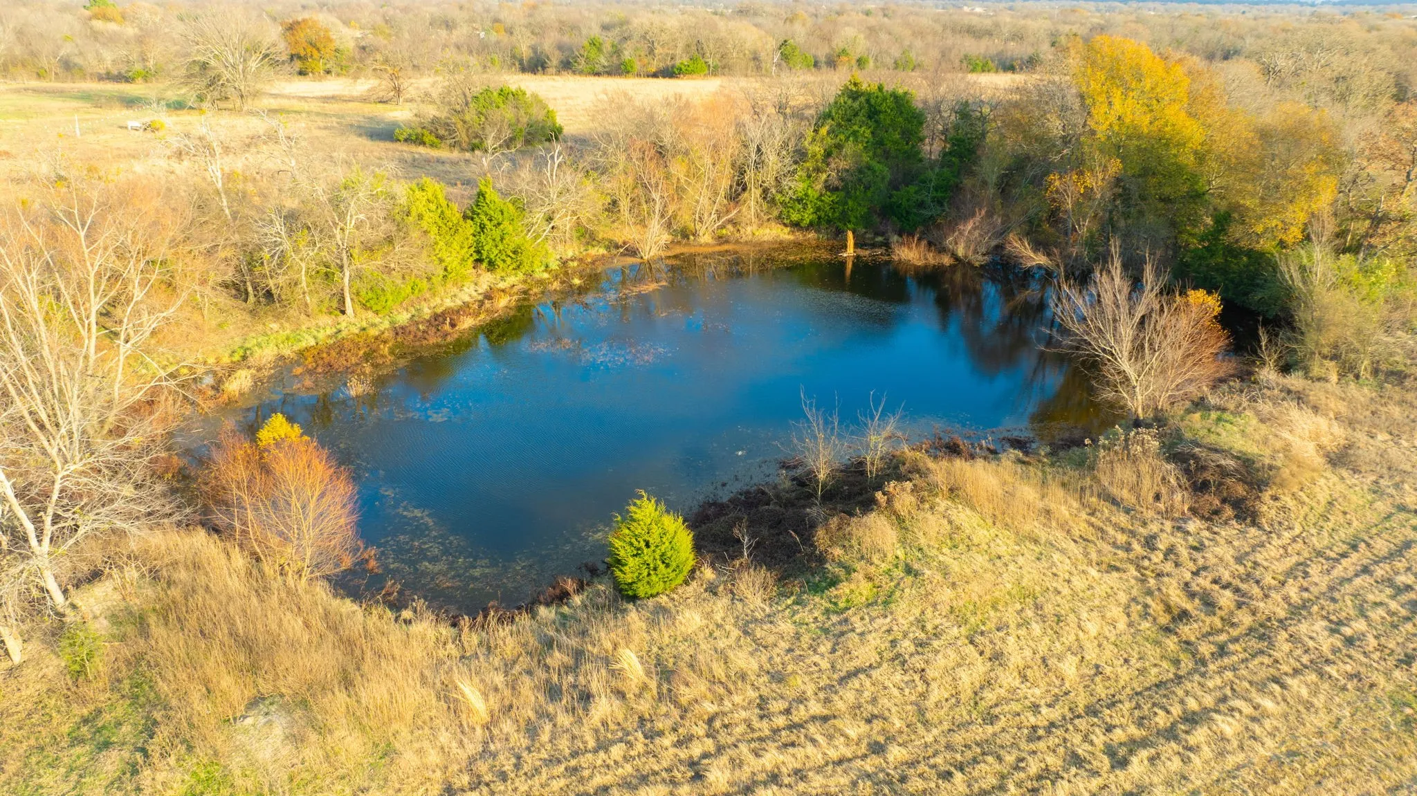 Single Family Residence For Sale in Van Zandt County , 1495 VZ CR 3908 112155, Wills Point, Texas 75169, 3 Bedrooms, 2 Bathrooms, Garage spaces, 1,512 Sqft, built in 2024, New Construction - Incomplete, Price $390,000, mls#21137762, Real Estate Agent in Wills Point, Homes For Sale in Van Zandt county, Homes For Sale in Wills Point, Realtor in Wills Point Texas, Real Estate Brokerage Independent Realty Texas, Luminita Cordes Realtor