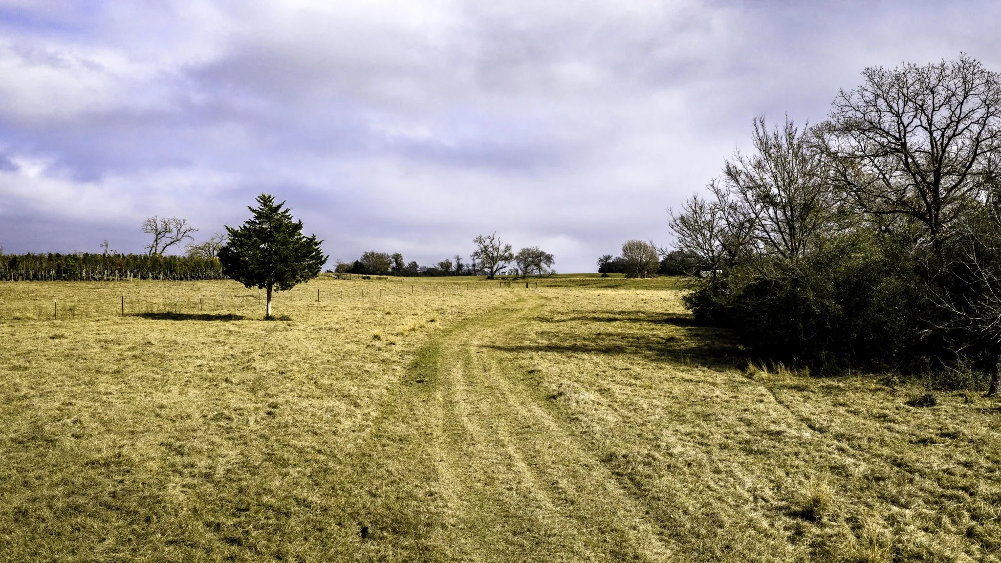 Farm For Sale in Leon County , 3200 Tx-75, Buffalo, Texas 75831, 6 Bedrooms, 3 Bathrooms, 2 Garage spaces, 3,861 Sqft, built in 2018, Preowned, Price $1,720,000, mls#21138083, Real Estate Agent in Buffalo, Homes For Sale in Leon county, Homes For Sale in Buffalo, Realtor in Buffalo Texas, Real Estate Brokerage Independent Realty Texas, Luminita Cordes Realtor