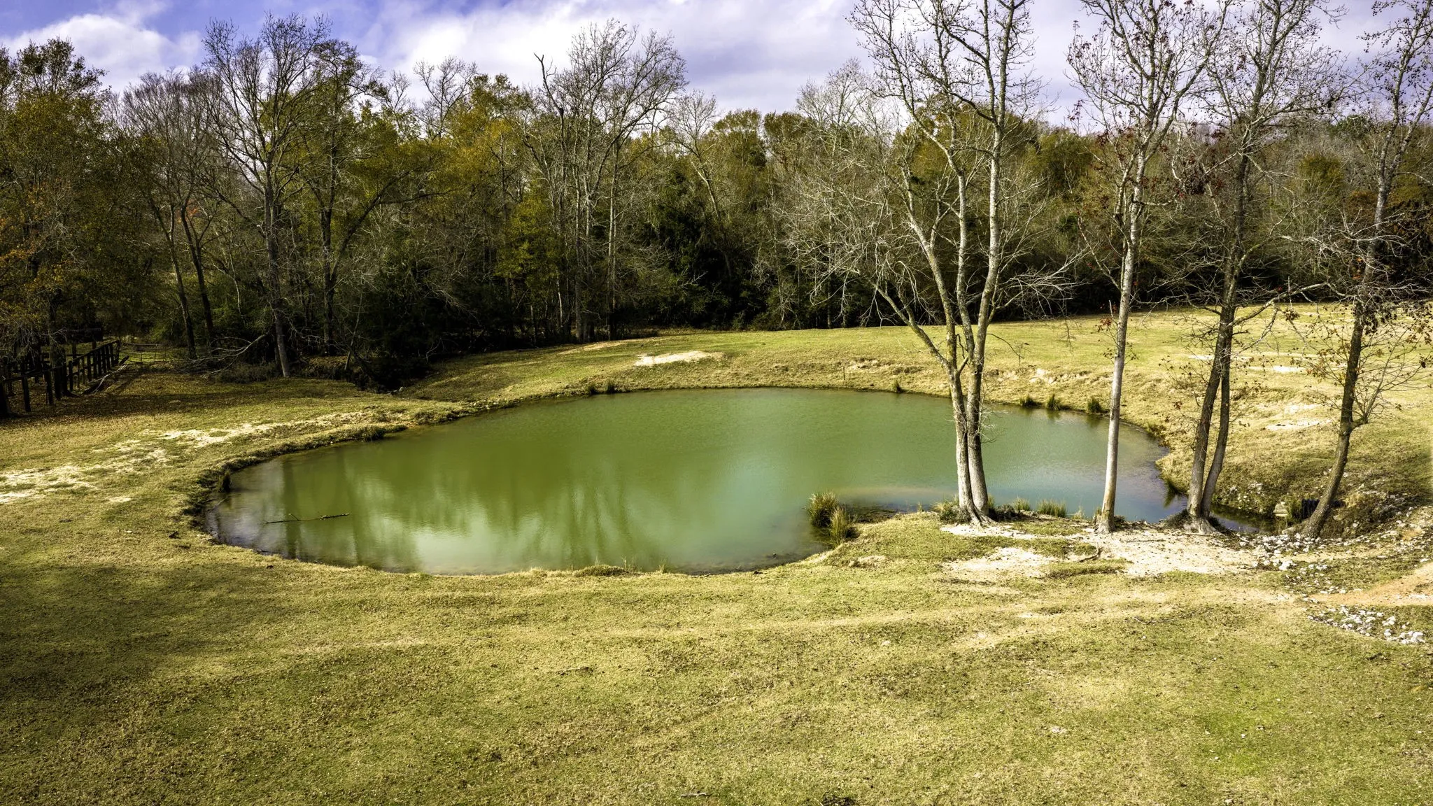 Farm For Sale in Leon County , 3200 Tx-75, Buffalo, Texas 75831, 6 Bedrooms, 3 Bathrooms, 2 Garage spaces, 3,861 Sqft, built in 2018, Preowned, Price $1,720,000, mls#21138083, Real Estate Agent in Buffalo, Homes For Sale in Leon county, Homes For Sale in Buffalo, Realtor in Buffalo Texas, Real Estate Brokerage Independent Realty Texas, Luminita Cordes Realtor