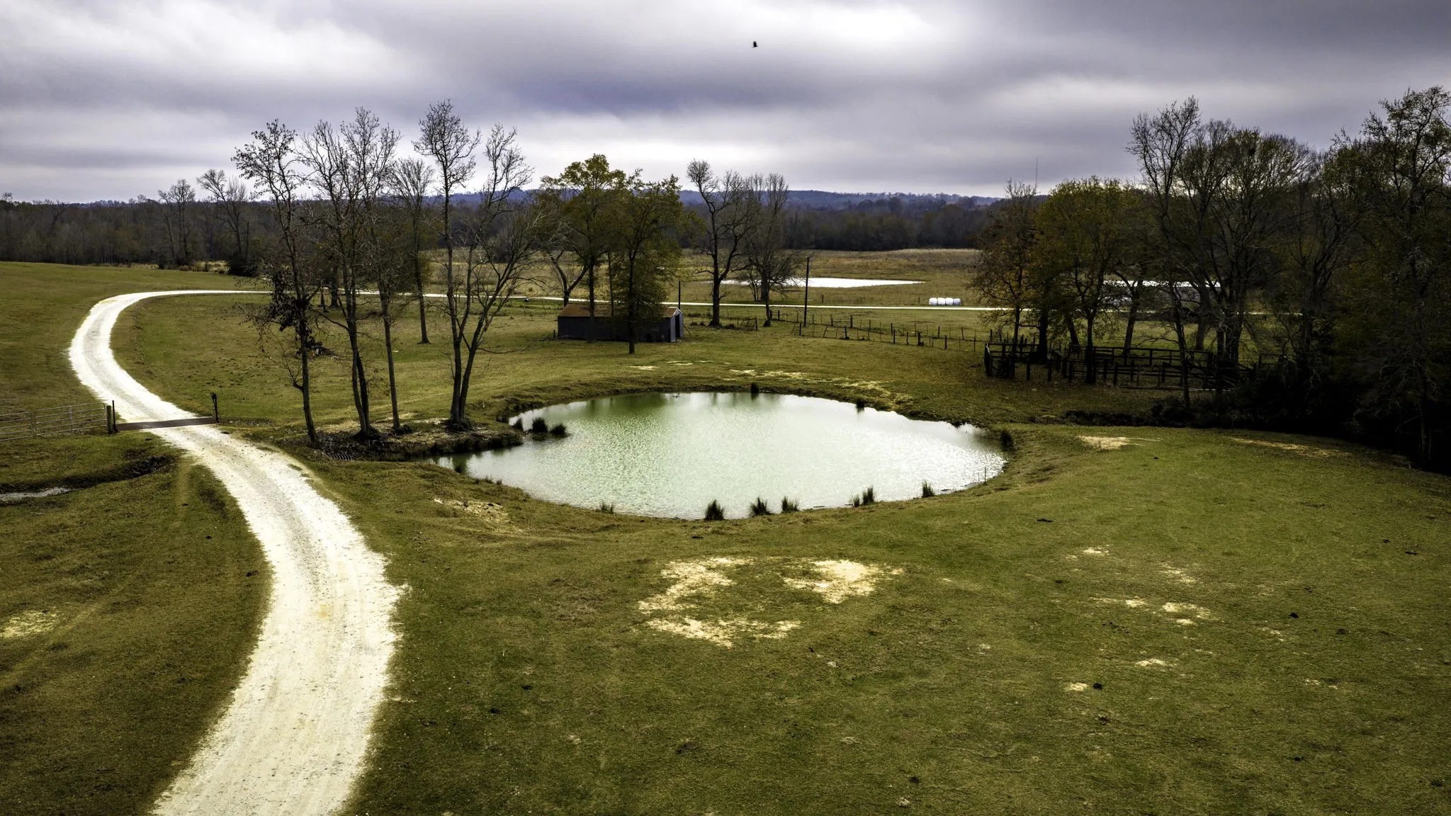 Farm For Sale in Leon County , 3200 Tx-75, Buffalo, Texas 75831, 6 Bedrooms, 3 Bathrooms, 2 Garage spaces, 3,861 Sqft, built in 2018, Preowned, Price $1,720,000, mls#21138083, Real Estate Agent in Buffalo, Homes For Sale in Leon county, Homes For Sale in Buffalo, Realtor in Buffalo Texas, Real Estate Brokerage Independent Realty Texas, Luminita Cordes Realtor