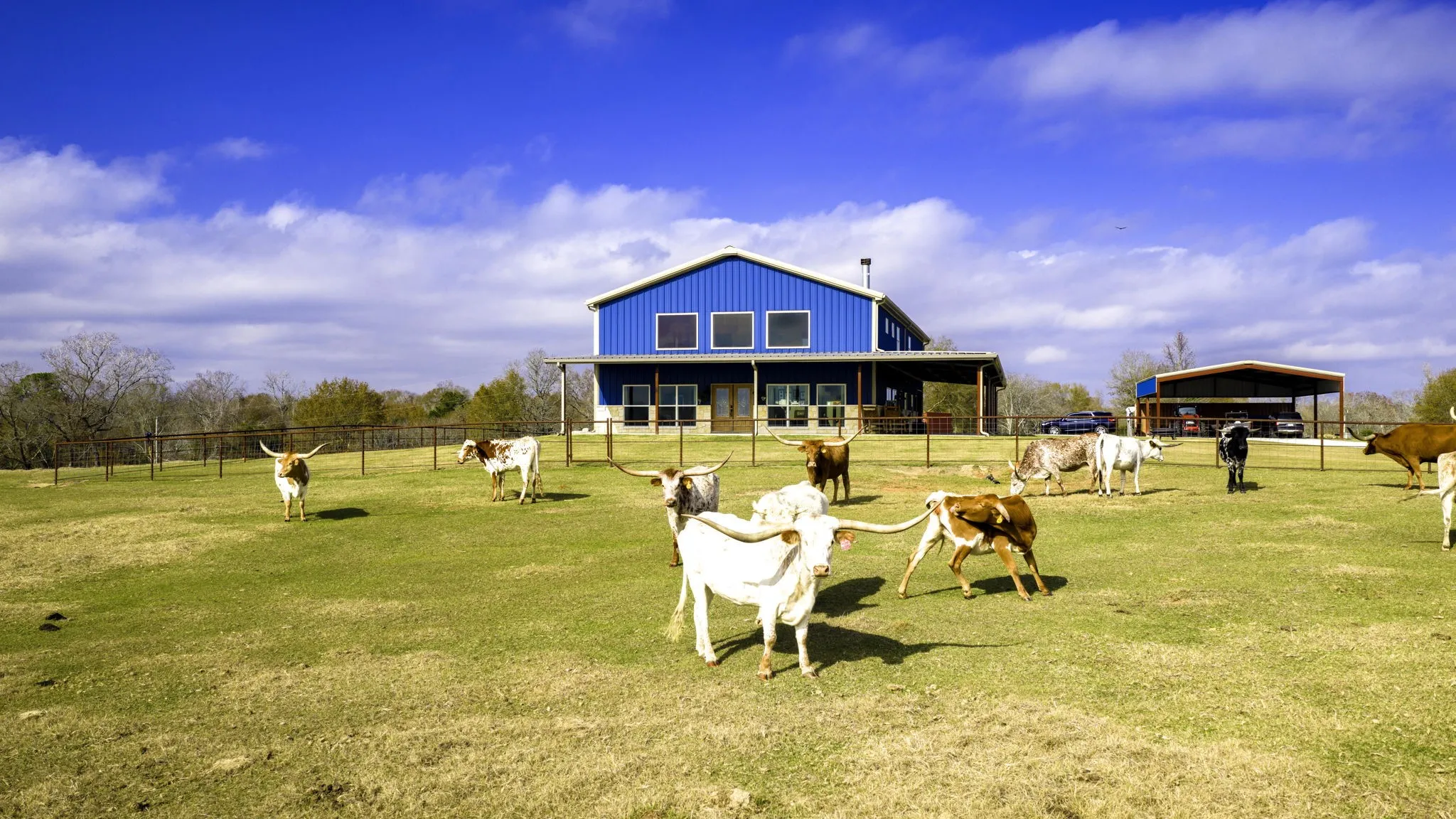 Farm For Sale in Leon County , 3200 Tx-75, Buffalo, Texas 75831, 6 Bedrooms, 3 Bathrooms, 2 Garage spaces, 3,861 Sqft, built in 2018, Preowned, Price $1,720,000, mls#21138083, Real Estate Agent in Buffalo, Homes For Sale in Leon county, Homes For Sale in Buffalo, Realtor in Buffalo Texas, Real Estate Brokerage Independent Realty Texas, Luminita Cordes Realtor