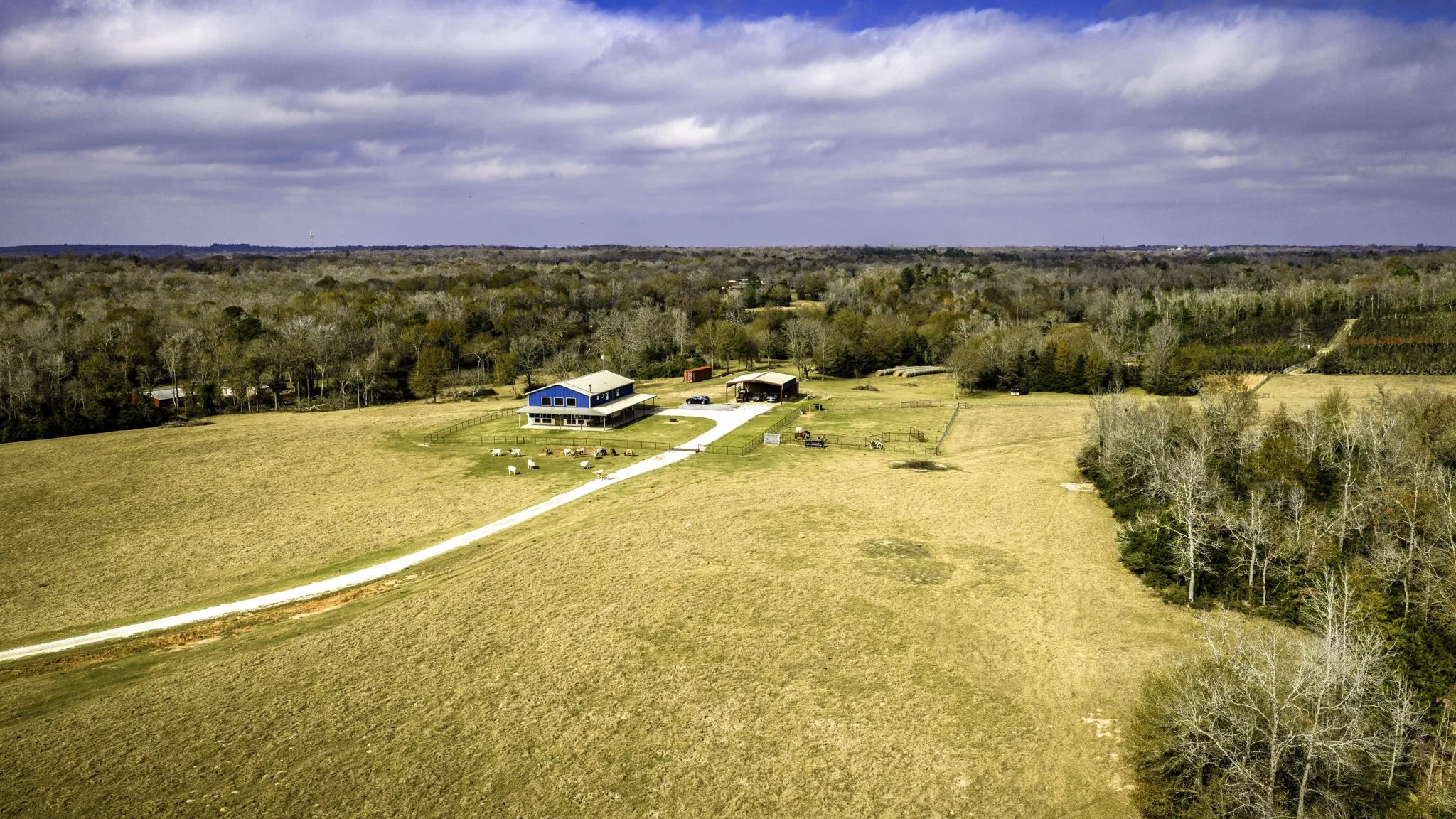 Farm For Sale in Leon County , 3200 Tx-75, Buffalo, Texas 75831, 6 Bedrooms, 3 Bathrooms, 2 Garage spaces, 3,861 Sqft, built in 2018, Preowned, Price $1,720,000, mls#21138083, Real Estate Agent in Buffalo, Homes For Sale in Leon county, Homes For Sale in Buffalo, Realtor in Buffalo Texas, Real Estate Brokerage Independent Realty Texas, Luminita Cordes Realtor