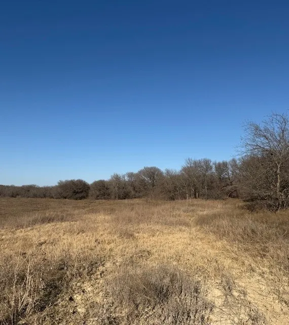 Unimproved Land For Sale in Hill County , TBD Private Road 454, Grandview, Texas 76050, 0, 0, Garage spaces, 0 Sqft, built in 0, mls#21136731, Real Estate Agent in Grandview, Homes For Sale in Hill county, Homes For Sale in Grandview, Realtor in Grandview Texas, Real Estate Brokerage Independent Realty Texas, Luminita Cordes Realtor