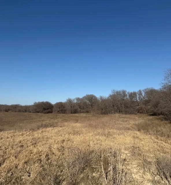 Unimproved Land For Sale in Hill County , TBD Private Road 454, Grandview, Texas 76050, 0, 0, Garage spaces, 0 Sqft, built in 0, mls#21136731, Real Estate Agent in Grandview, Homes For Sale in Hill county, Homes For Sale in Grandview, Realtor in Grandview Texas, Real Estate Brokerage Independent Realty Texas, Luminita Cordes Realtor