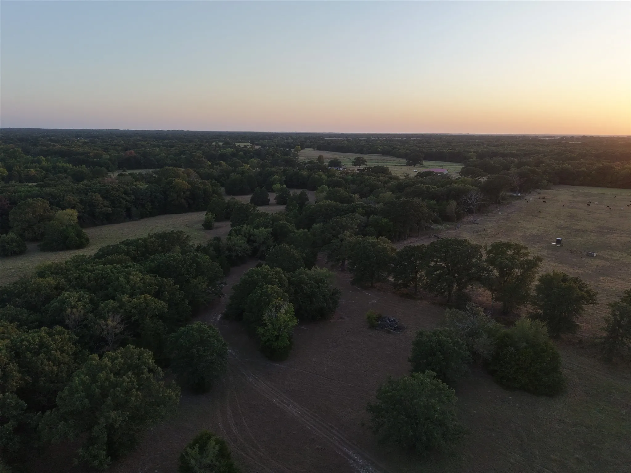 Ranch For Sale in Van Zandt County , TBD CR 1810, Grand Saline, Texas 75140, 0, 0, Garage spaces, 0 Sqft, built in 0, mls#21138282, Real Estate Agent in Grand Saline, Homes For Sale in Van Zandt county, Homes For Sale in Grand Saline, Realtor in Grand Saline Texas, Real Estate Brokerage Independent Realty Texas, Luminita Cordes Realtor