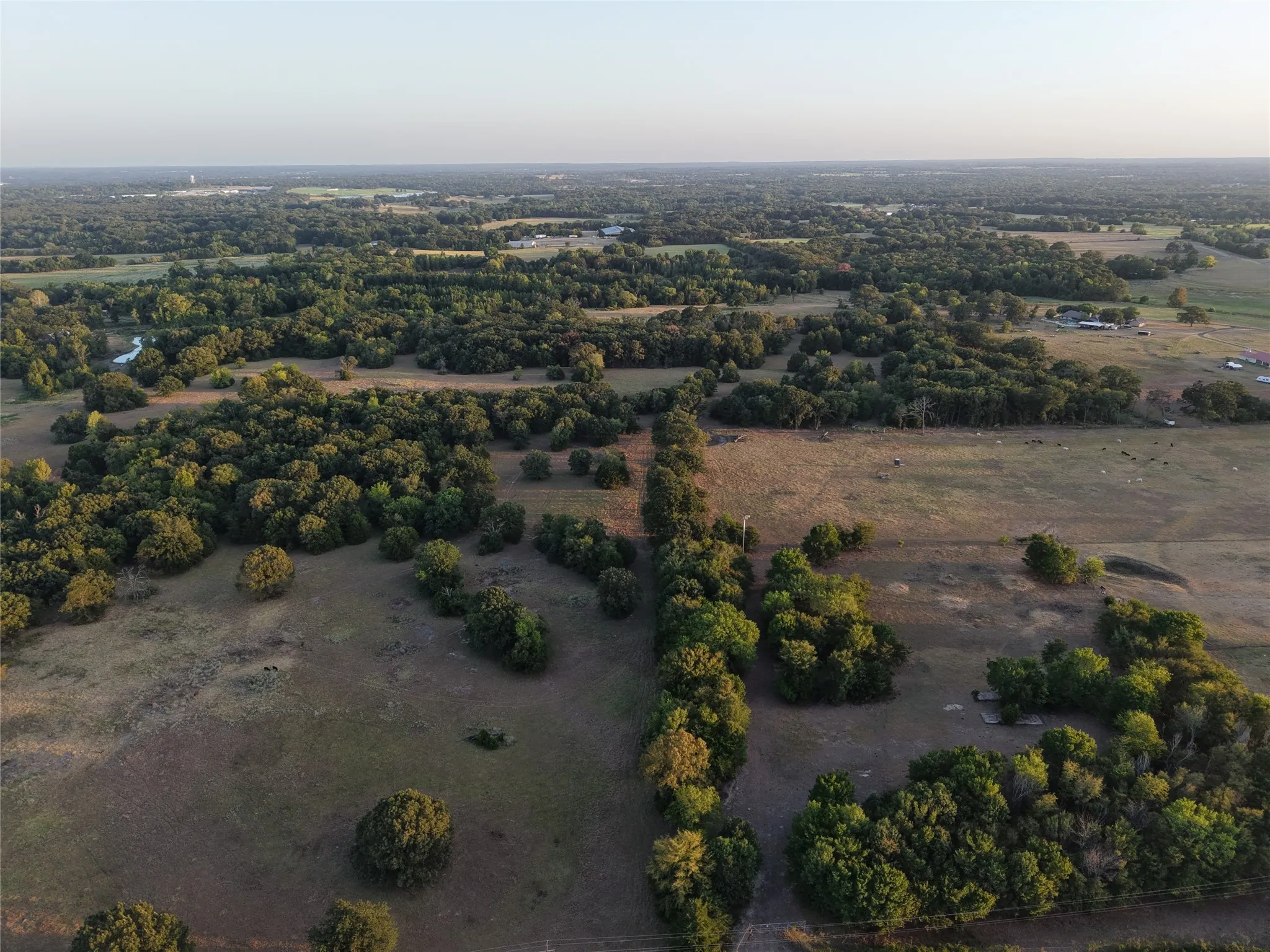 Ranch For Sale in Van Zandt County , TBD CR 1810, Grand Saline, Texas 75140, 0, 0, Garage spaces, 0 Sqft, built in 0, mls#21138282, Real Estate Agent in Grand Saline, Homes For Sale in Van Zandt county, Homes For Sale in Grand Saline, Realtor in Grand Saline Texas, Real Estate Brokerage Independent Realty Texas, Luminita Cordes Realtor