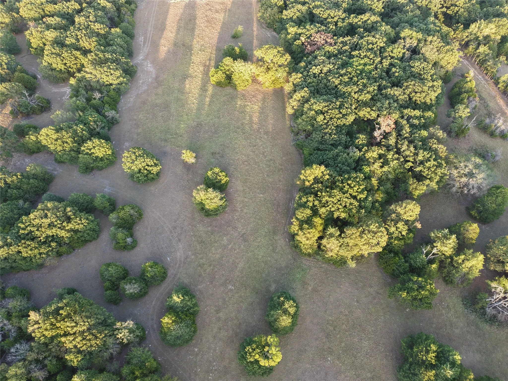 Ranch For Sale in Van Zandt County , TBD CR 1810, Grand Saline, Texas 75140, 0, 0, Garage spaces, 0 Sqft, built in 0, mls#21138282, Real Estate Agent in Grand Saline, Homes For Sale in Van Zandt county, Homes For Sale in Grand Saline, Realtor in Grand Saline Texas, Real Estate Brokerage Independent Realty Texas, Luminita Cordes Realtor