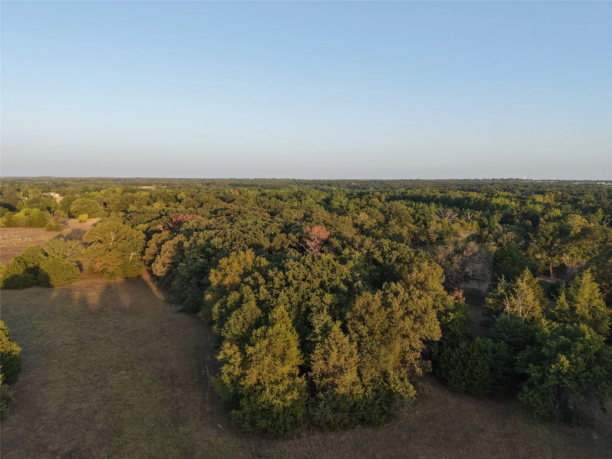 Ranch For Sale in Van Zandt County , TBD CR 1810, Grand Saline, Texas 75140, 0, 0, Garage spaces, 0 Sqft, built in 0, mls#21138282, Real Estate Agent in Grand Saline, Homes For Sale in Van Zandt county, Homes For Sale in Grand Saline, Realtor in Grand Saline Texas, Real Estate Brokerage Independent Realty Texas, Luminita Cordes Realtor