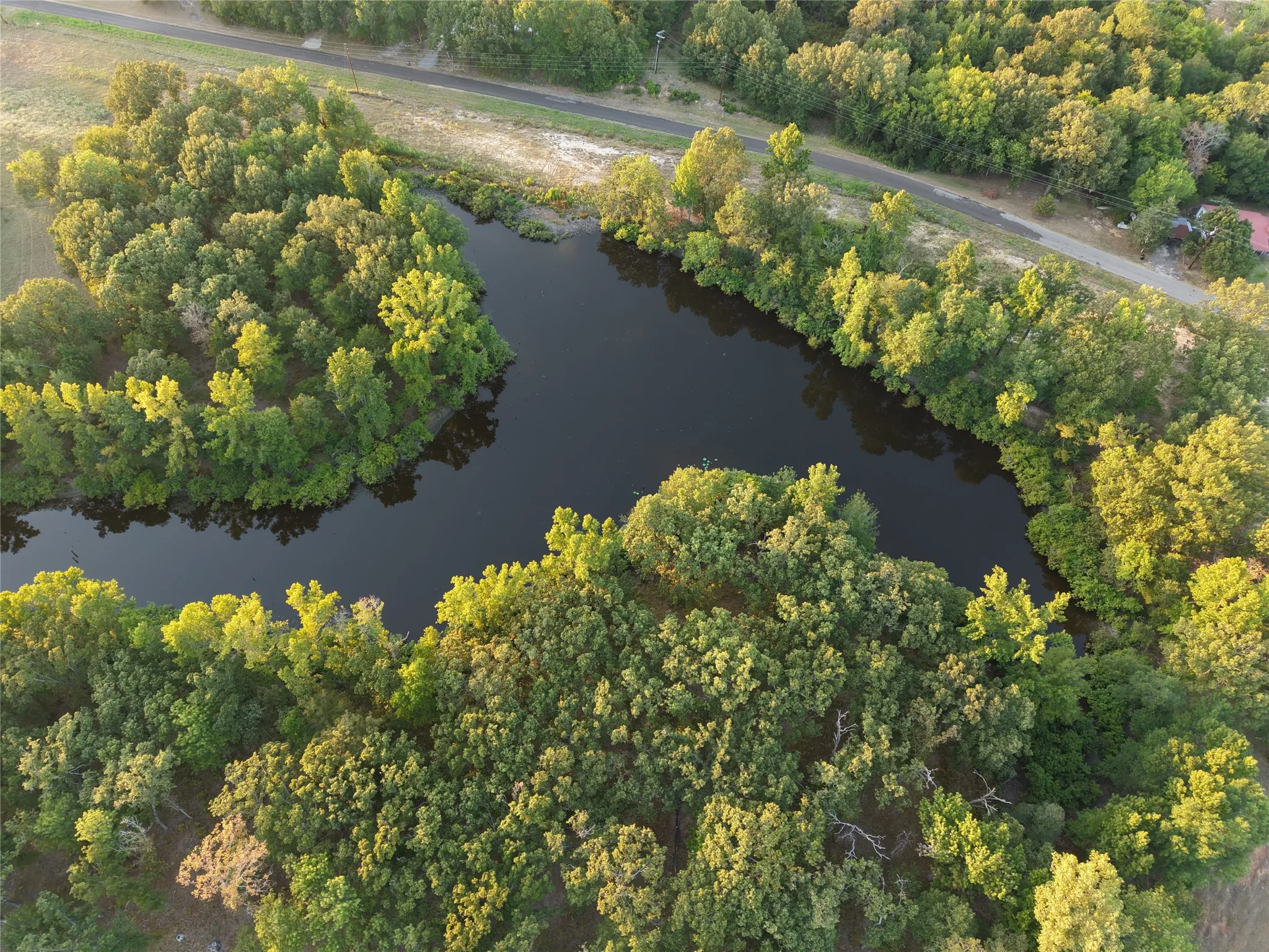 Ranch For Sale in Van Zandt County , TBD CR 1810, Grand Saline, Texas 75140, 0, 0, Garage spaces, 0 Sqft, built in 0, mls#21138282, Real Estate Agent in Grand Saline, Homes For Sale in Van Zandt county, Homes For Sale in Grand Saline, Realtor in Grand Saline Texas, Real Estate Brokerage Independent Realty Texas, Luminita Cordes Realtor