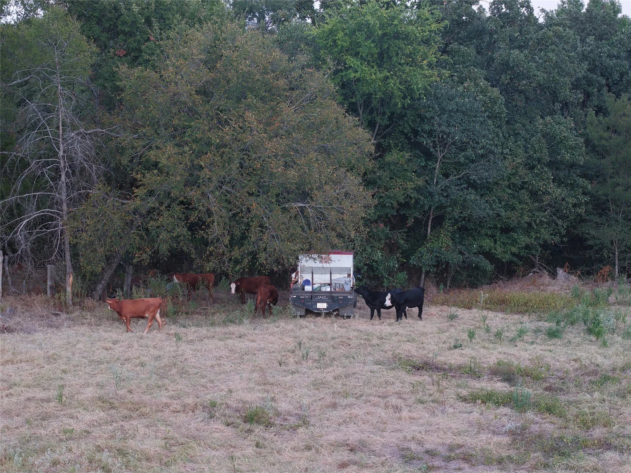 Ranch For Sale in Van Zandt County , TBD CR 1810, Grand Saline, Texas 75140, 0, 0, Garage spaces, 0 Sqft, built in 0, mls#21138282, Real Estate Agent in Grand Saline, Homes For Sale in Van Zandt county, Homes For Sale in Grand Saline, Realtor in Grand Saline Texas, Real Estate Brokerage Independent Realty Texas, Luminita Cordes Realtor