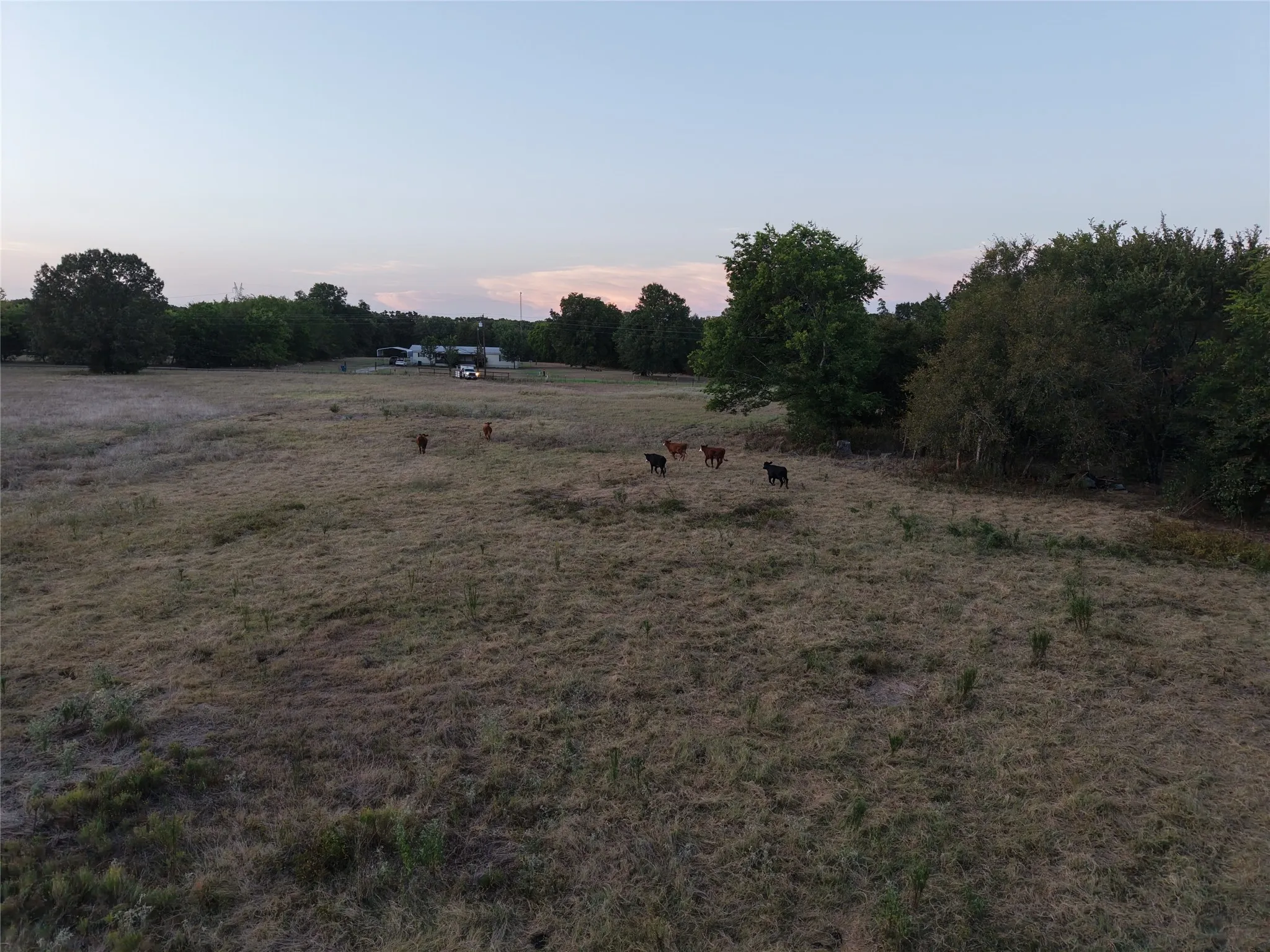 Ranch For Sale in Van Zandt County , TBD CR 1810, Grand Saline, Texas 75140, 0, 0, Garage spaces, 0 Sqft, built in 0, mls#21138282, Real Estate Agent in Grand Saline, Homes For Sale in Van Zandt county, Homes For Sale in Grand Saline, Realtor in Grand Saline Texas, Real Estate Brokerage Independent Realty Texas, Luminita Cordes Realtor