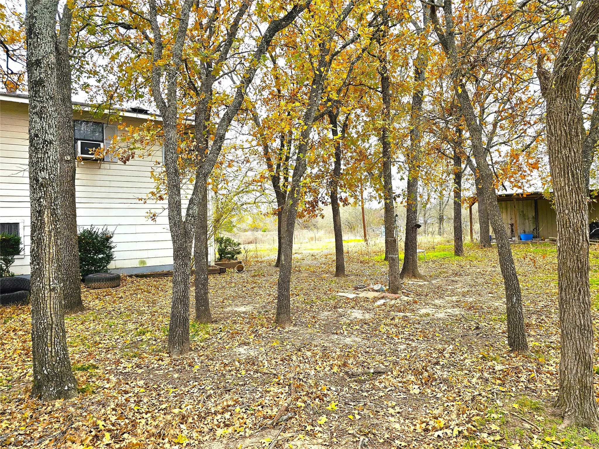 Single Family Residence For Sale in Navarro County , 2240 County Road 2162, Barry, Texas 75102, 3 Bedroom, 2 Bathroom, Garage spaces, 1,640 Sqft, built in 1989, mls#21138270, Real Estate Agent in Barry, Homes For Sale in Navarro county, Homes For Sale in Barry, Realtor in Barry Texas, Real Estate Brokerage Independent Realty Texas, Luminita Cordes Realtor