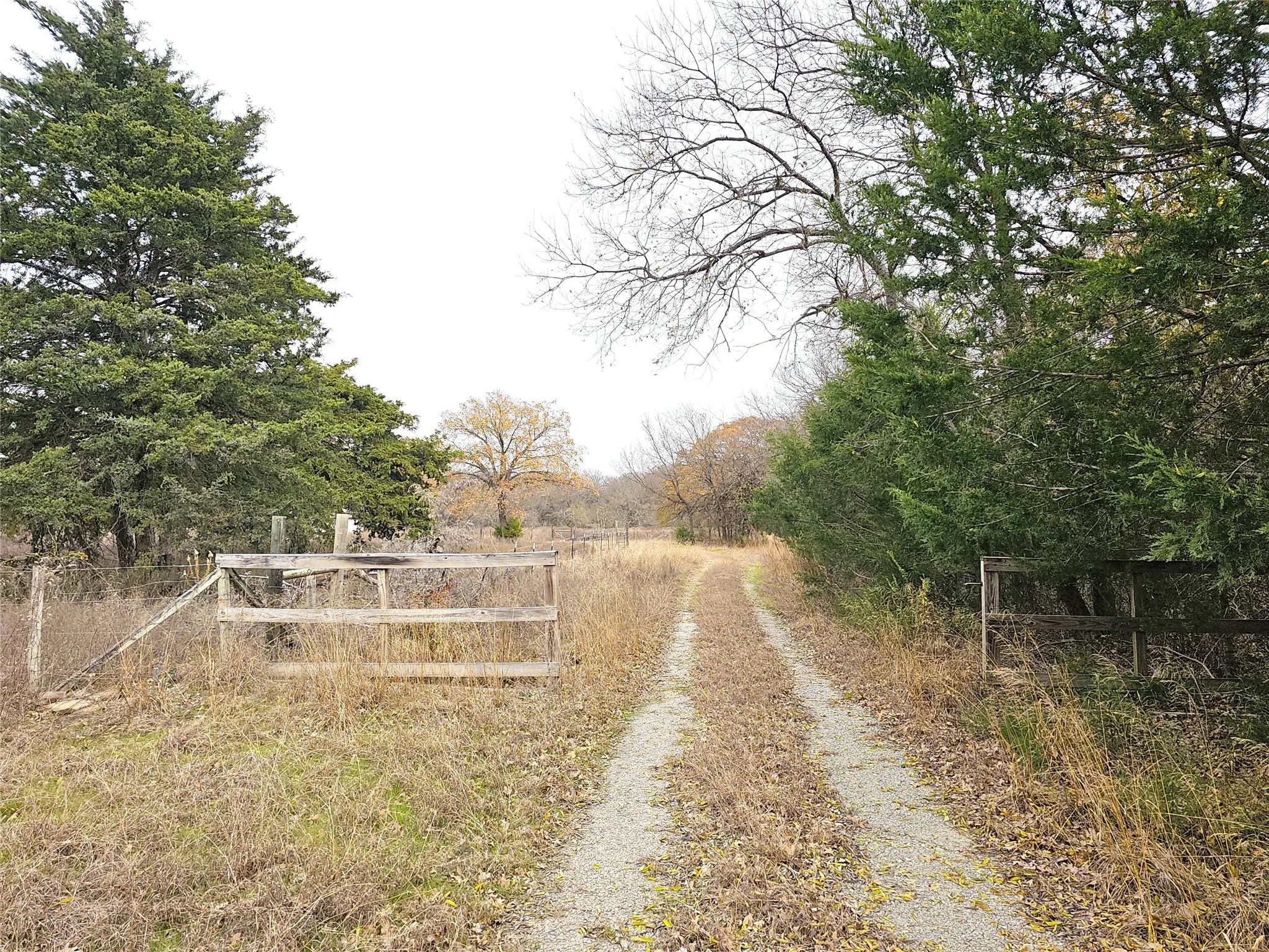 Single Family Residence For Sale in Navarro County , 2240 County Road 2162, Barry, Texas 75102, 3 Bedroom, 2 Bathroom, Garage spaces, 1,640 Sqft, built in 1989, mls#21138270, Real Estate Agent in Barry, Homes For Sale in Navarro county, Homes For Sale in Barry, Realtor in Barry Texas, Real Estate Brokerage Independent Realty Texas, Luminita Cordes Realtor