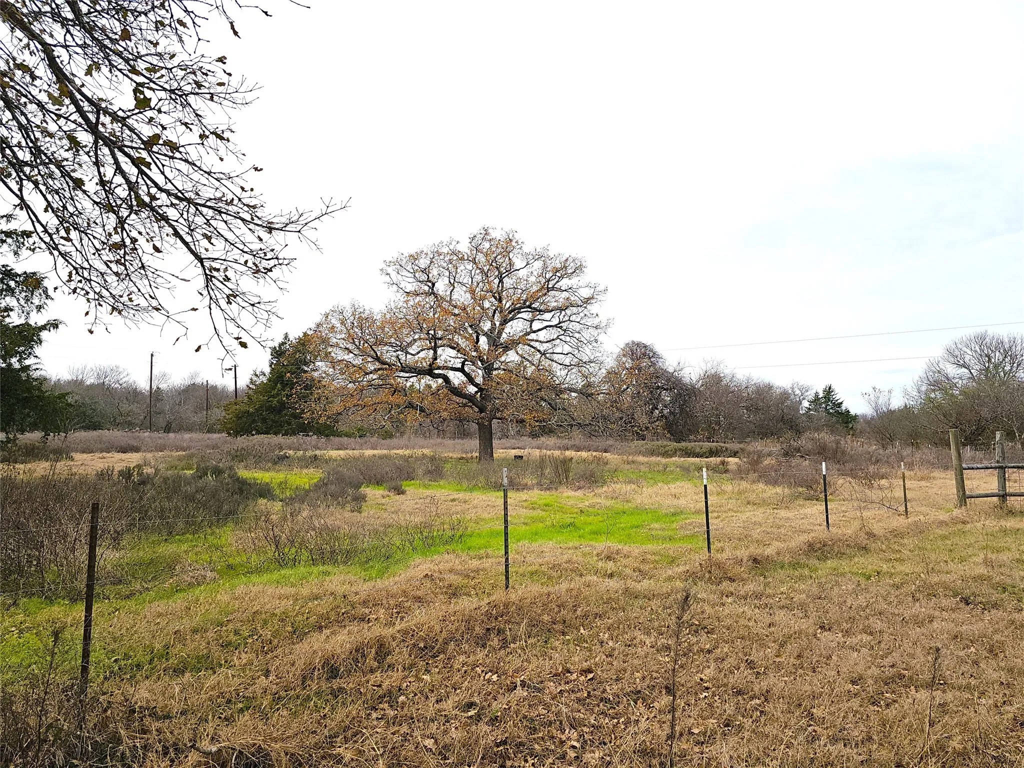 Single Family Residence For Sale in Navarro County , 2240 County Road 2162, Barry, Texas 75102, 3 Bedroom, 2 Bathroom, Garage spaces, 1,640 Sqft, built in 1989, mls#21138270, Real Estate Agent in Barry, Homes For Sale in Navarro county, Homes For Sale in Barry, Realtor in Barry Texas, Real Estate Brokerage Independent Realty Texas, Luminita Cordes Realtor