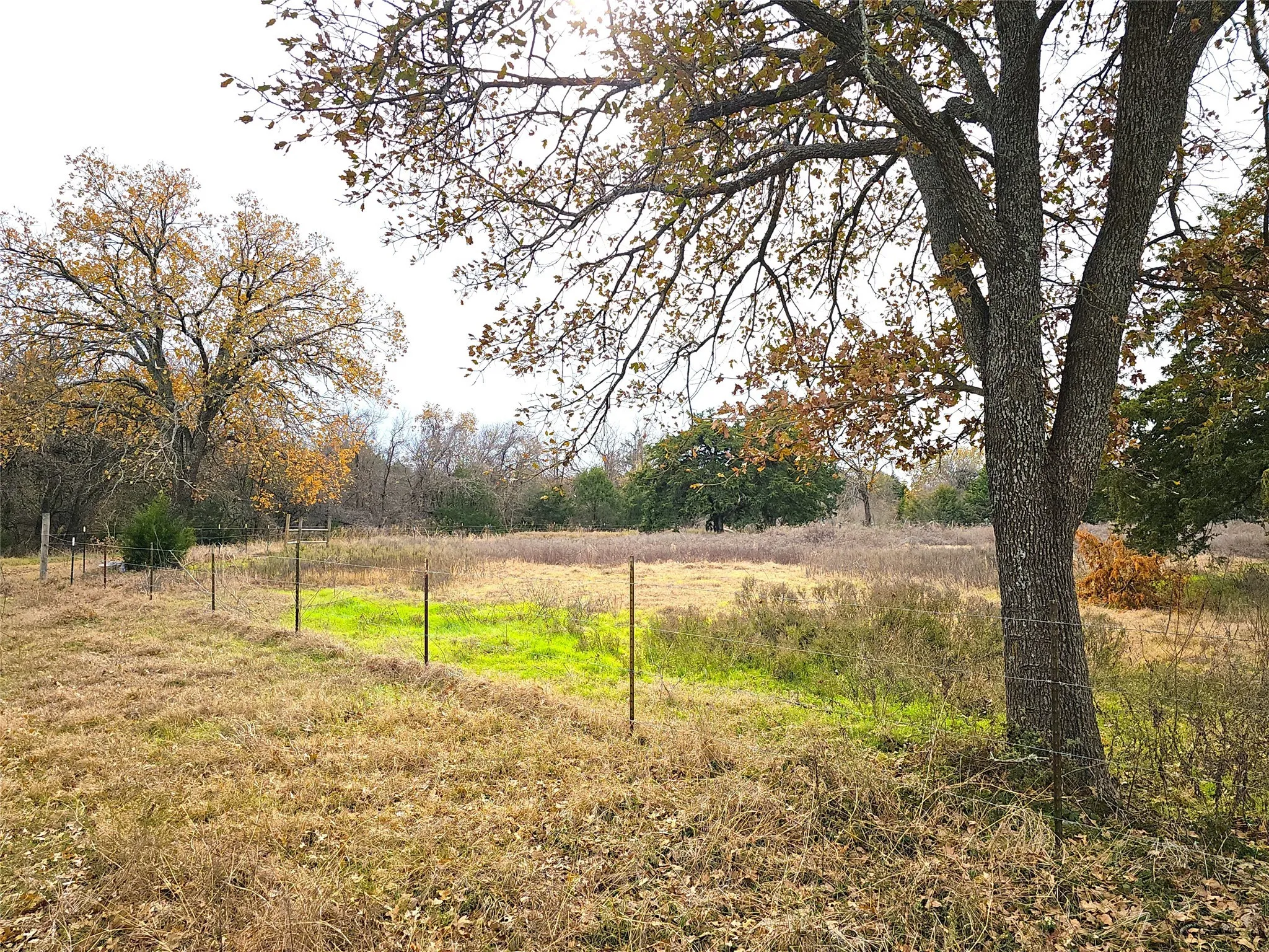 Single Family Residence For Sale in Navarro County , 2240 County Road 2162, Barry, Texas 75102, 3 Bedroom, 2 Bathroom, Garage spaces, 1,640 Sqft, built in 1989, mls#21138270, Real Estate Agent in Barry, Homes For Sale in Navarro county, Homes For Sale in Barry, Realtor in Barry Texas, Real Estate Brokerage Independent Realty Texas, Luminita Cordes Realtor