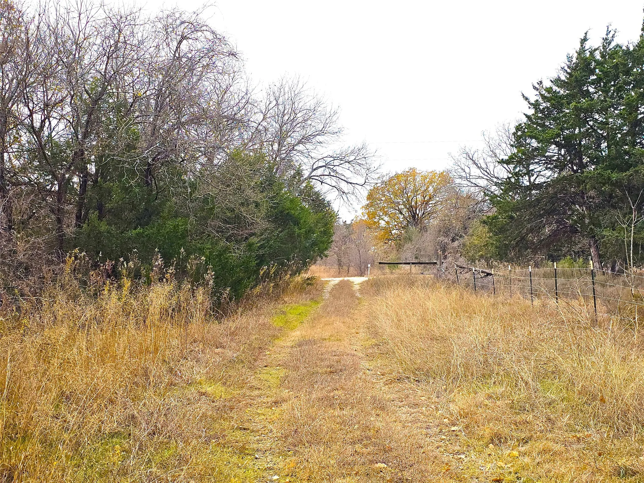 Single Family Residence For Sale in Navarro County , 2240 County Road 2162, Barry, Texas 75102, 3 Bedroom, 2 Bathroom, Garage spaces, 1,640 Sqft, built in 1989, mls#21138270, Real Estate Agent in Barry, Homes For Sale in Navarro county, Homes For Sale in Barry, Realtor in Barry Texas, Real Estate Brokerage Independent Realty Texas, Luminita Cordes Realtor