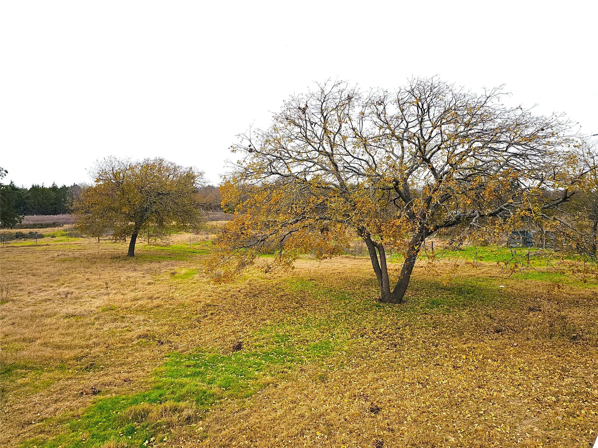 Single Family Residence For Sale in Navarro County , 2240 County Road 2162, Barry, Texas 75102, 3 Bedroom, 2 Bathroom, Garage spaces, 1,640 Sqft, built in 1989, mls#21138270, Real Estate Agent in Barry, Homes For Sale in Navarro county, Homes For Sale in Barry, Realtor in Barry Texas, Real Estate Brokerage Independent Realty Texas, Luminita Cordes Realtor