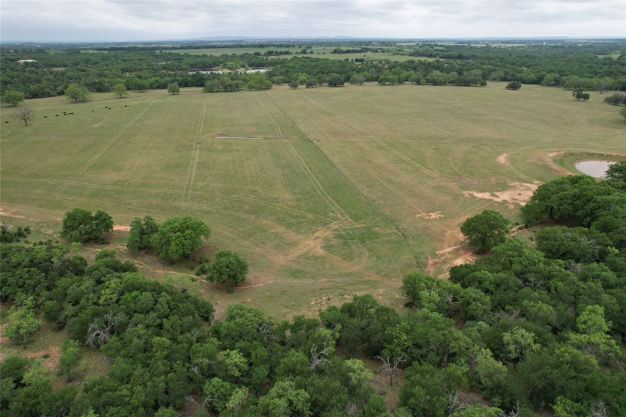 Farm For Sale in Comanche County , 5300 Highway 2247, De Leon, Texas 76444, 3 Bedrooms, 3 Bathrooms, 3 Garage spaces, 2,185 Sqft, built in 1988, Price $2,100,000, mls#21138429, Real Estate Agent in De Leon, Homes For Sale in Comanche county, Homes For Sale in De Leon, Realtor in De Leon Texas, Real Estate Brokerage Independent Realty Texas, Luminita Cordes Realtor
