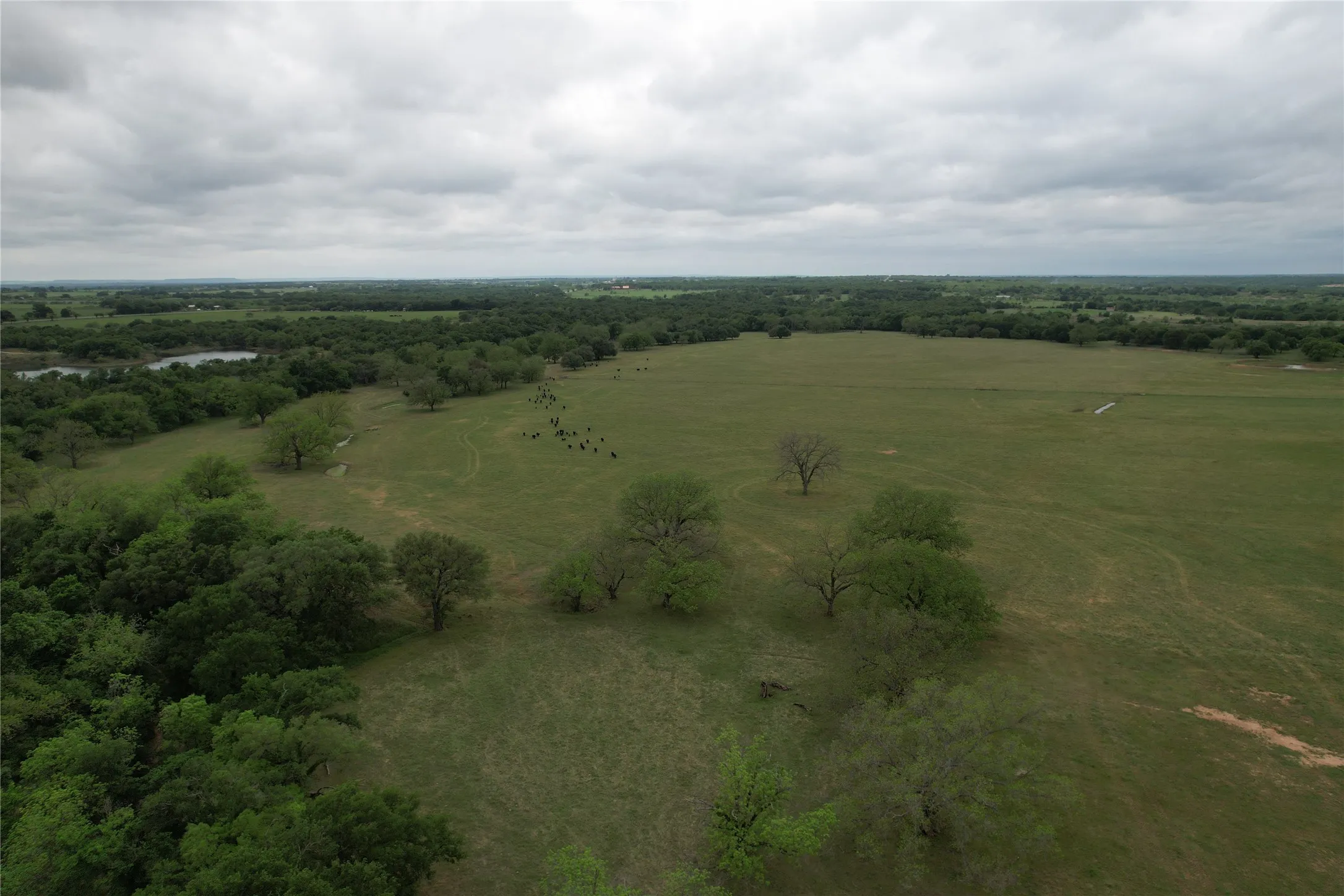 Farm For Sale in Comanche County , 5300 Highway 2247, De Leon, Texas 76444, 3 Bedrooms, 3 Bathrooms, 3 Garage spaces, 2,185 Sqft, built in 1988, Price $2,100,000, mls#21138429, Real Estate Agent in De Leon, Homes For Sale in Comanche county, Homes For Sale in De Leon, Realtor in De Leon Texas, Real Estate Brokerage Independent Realty Texas, Luminita Cordes Realtor