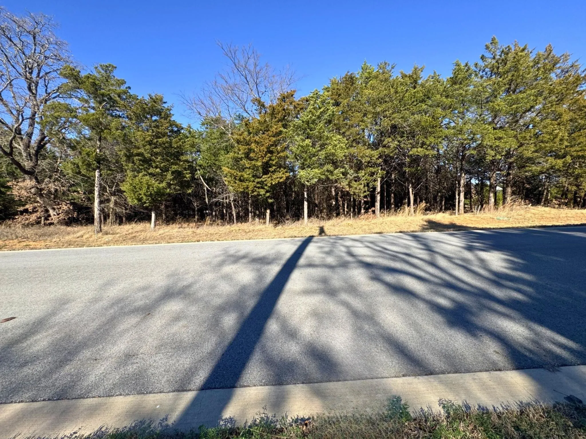 Unimproved Land For Sale in Grayson County , 202 Pine Hills Lane, Gordonville, Texas 76245, 0, 0, Garage spaces, 0 Sqft, built in 0, Price $146,900, mls#21137918, Real Estate Agent in Gordonville, Homes For Sale in Grayson county, Homes For Sale in Gordonville, Realtor in Gordonville Texas, Real Estate Brokerage Independent Realty Texas, Luminita Cordes Realtor