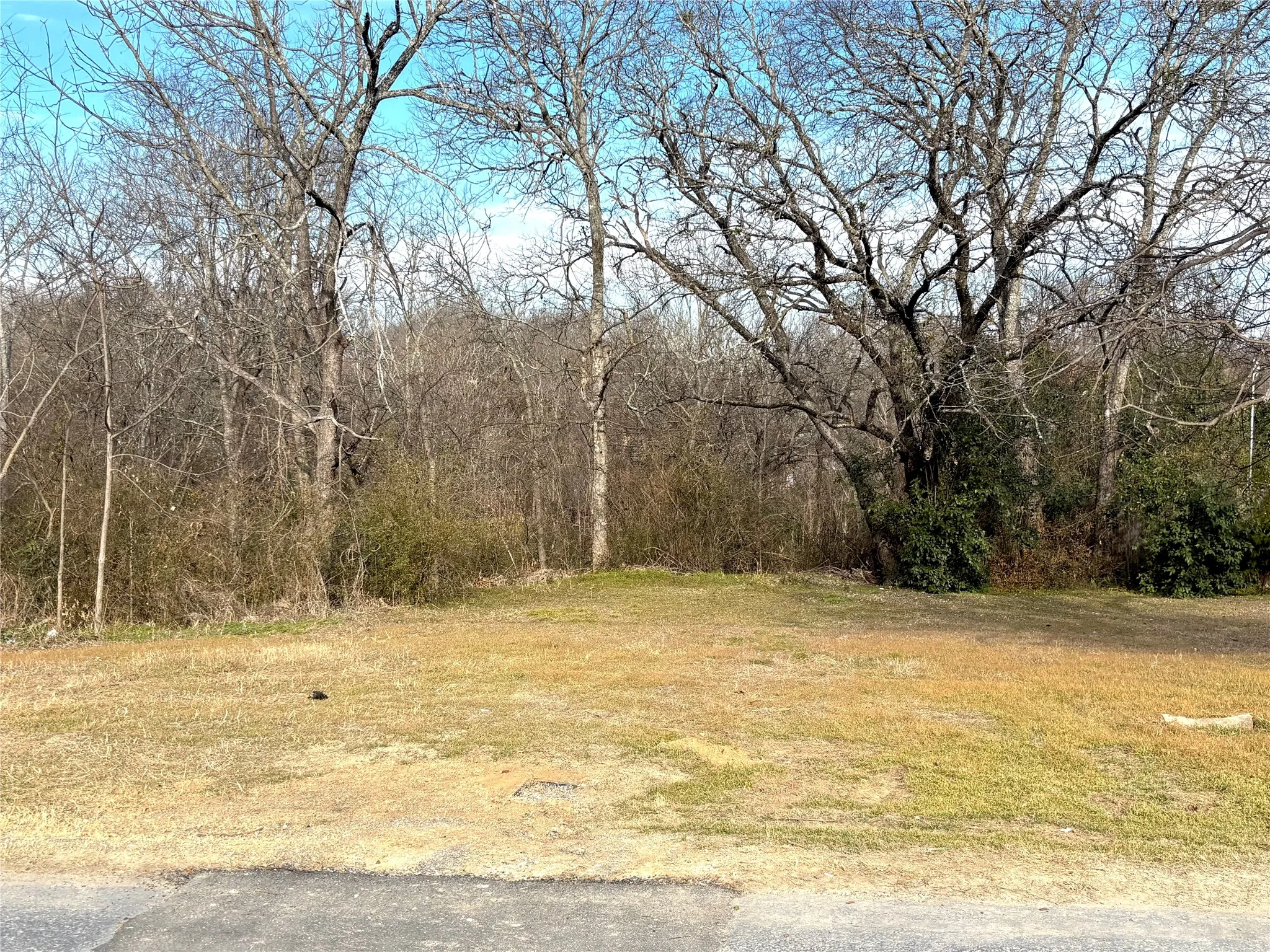 Unimproved Land For Sale in Ellis County , 916 Givens Street, Waxahachie, Texas 75165, 0, 0, Garage spaces, 0 Sqft, built in 0, mls#21138600, Real Estate Agent in Waxahachie, Homes For Sale in Ellis county, Homes For Sale in Waxahachie, Realtor in Waxahachie Texas, Real Estate Brokerage Independent Realty Texas, Luminita Cordes Realtor
