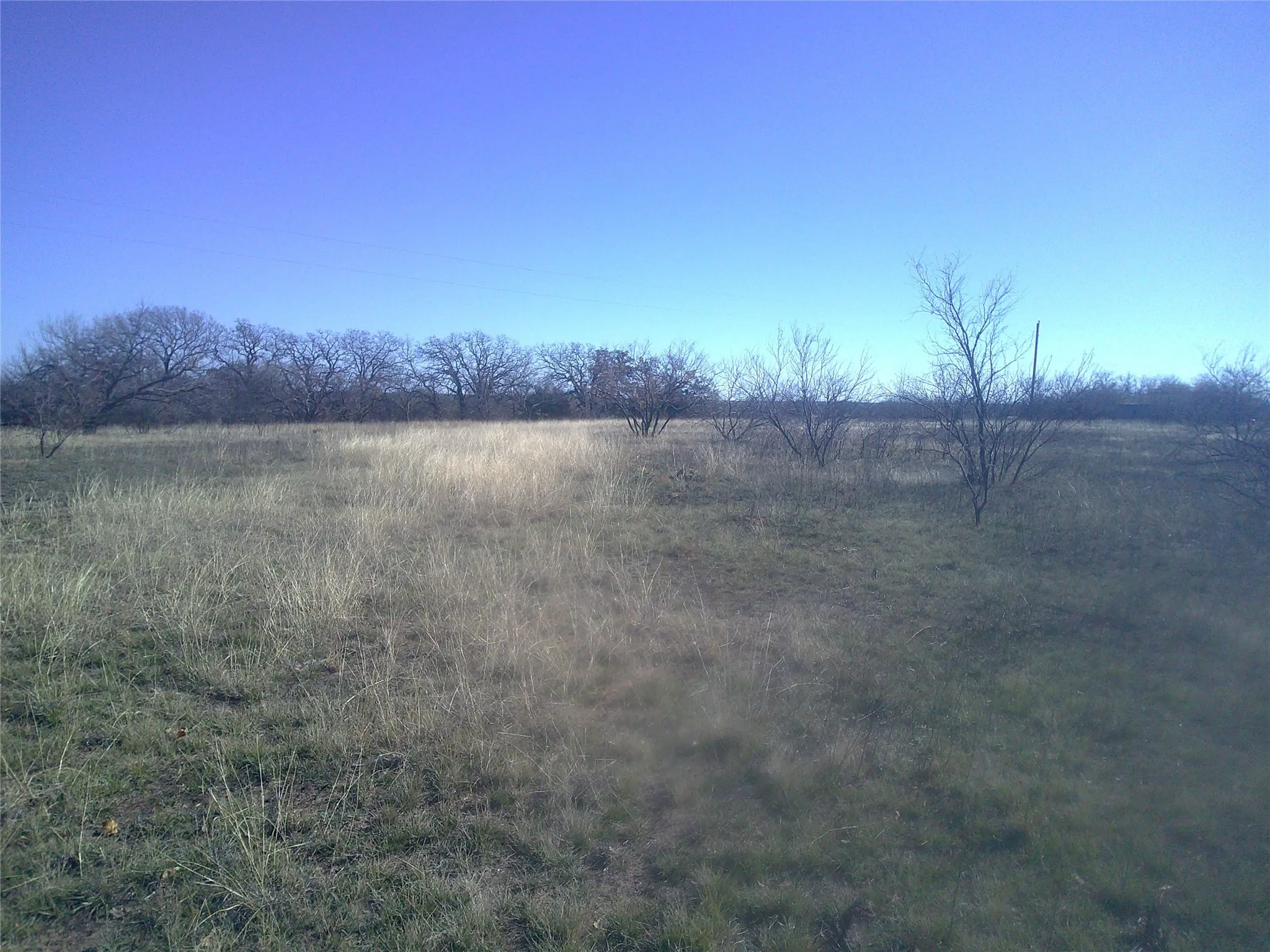 Unimproved Land For Sale in Wise County , Tract 1 CR 1750, Chico, Texas 76431, 0, 0, Garage spaces, 0 Sqft, built in 0, Price $189,500, mls#21138706, Real Estate Agent in Chico, Homes For Sale in Wise county, Homes For Sale in Chico, Realtor in Chico Texas, Real Estate Brokerage Independent Realty Texas, Luminita Cordes Realtor