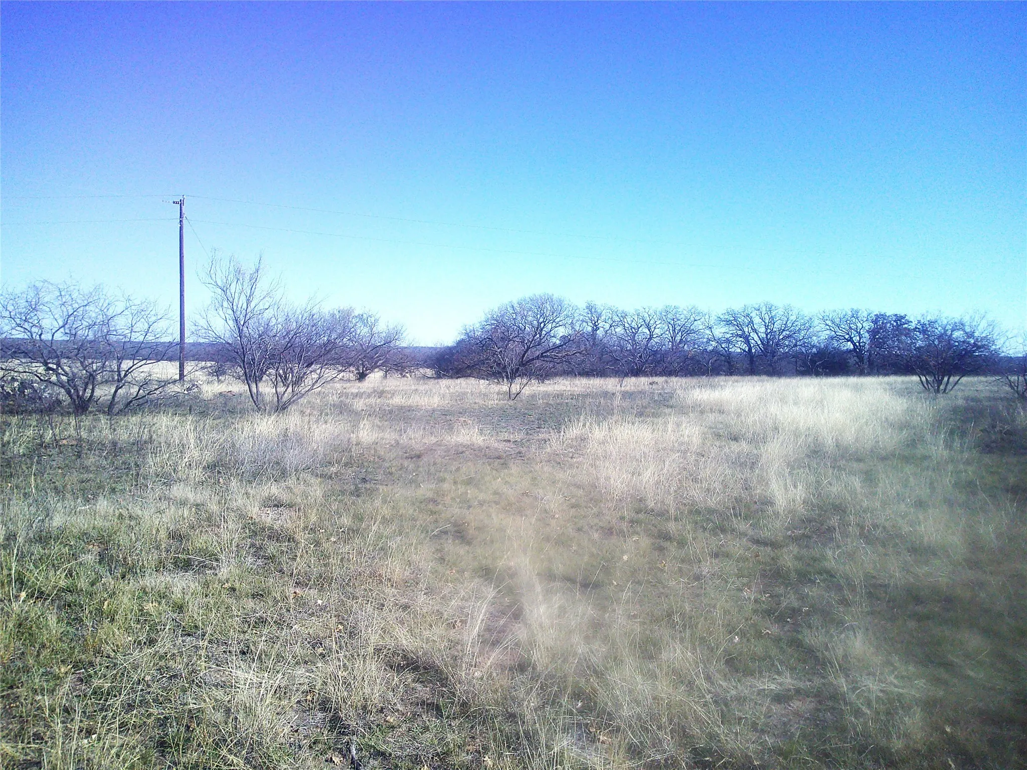 Unimproved Land For Sale in Wise County , Tract 1 CR 1750, Chico, Texas 76431, 0, 0, Garage spaces, 0 Sqft, built in 0, Price $189,500, mls#21138706, Real Estate Agent in Chico, Homes For Sale in Wise county, Homes For Sale in Chico, Realtor in Chico Texas, Real Estate Brokerage Independent Realty Texas, Luminita Cordes Realtor