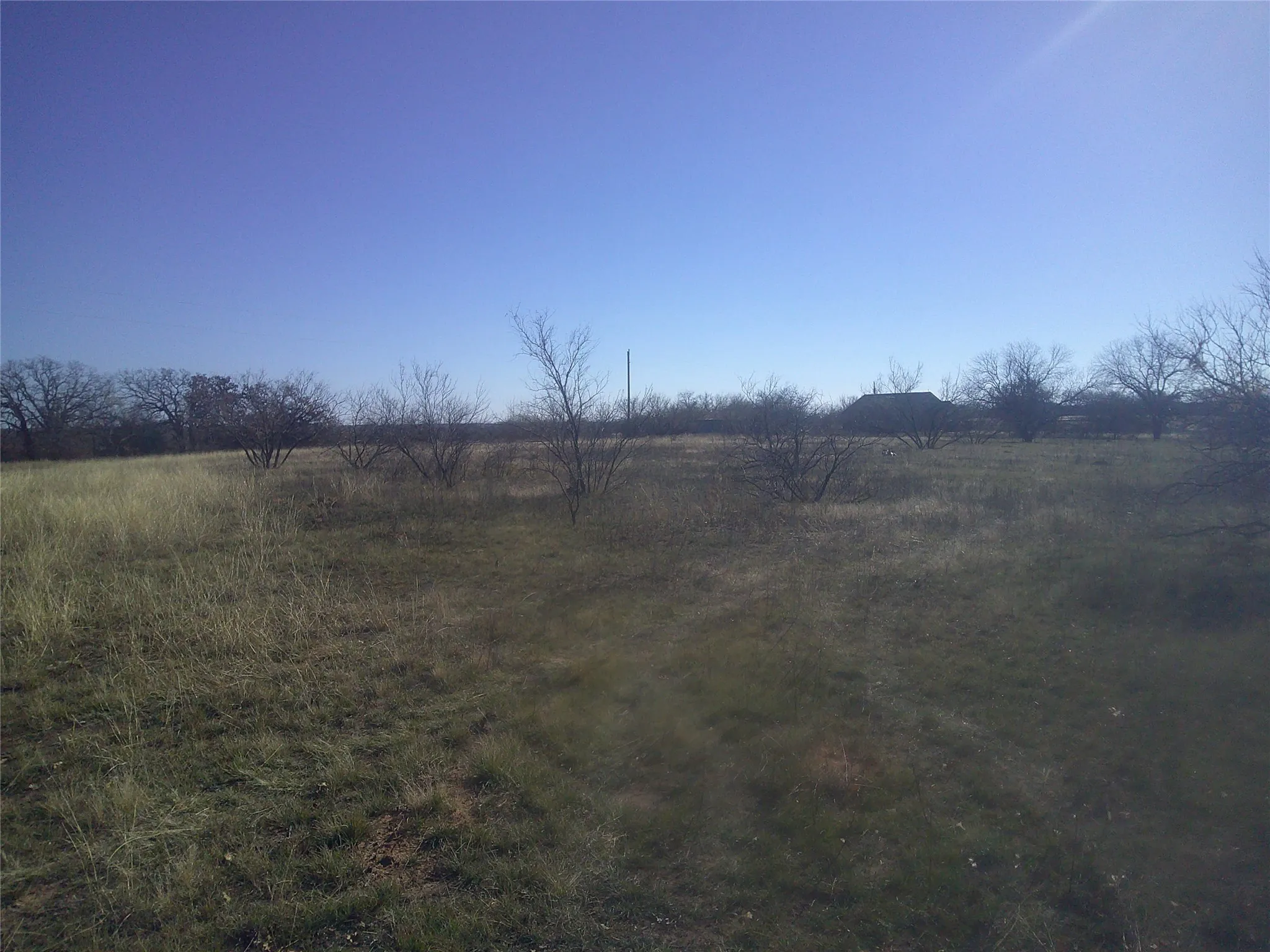 Unimproved Land For Sale in Wise County , Tract 1 CR 1750, Chico, Texas 76431, 0, 0, Garage spaces, 0 Sqft, built in 0, Price $189,500, mls#21138706, Real Estate Agent in Chico, Homes For Sale in Wise county, Homes For Sale in Chico, Realtor in Chico Texas, Real Estate Brokerage Independent Realty Texas, Luminita Cordes Realtor