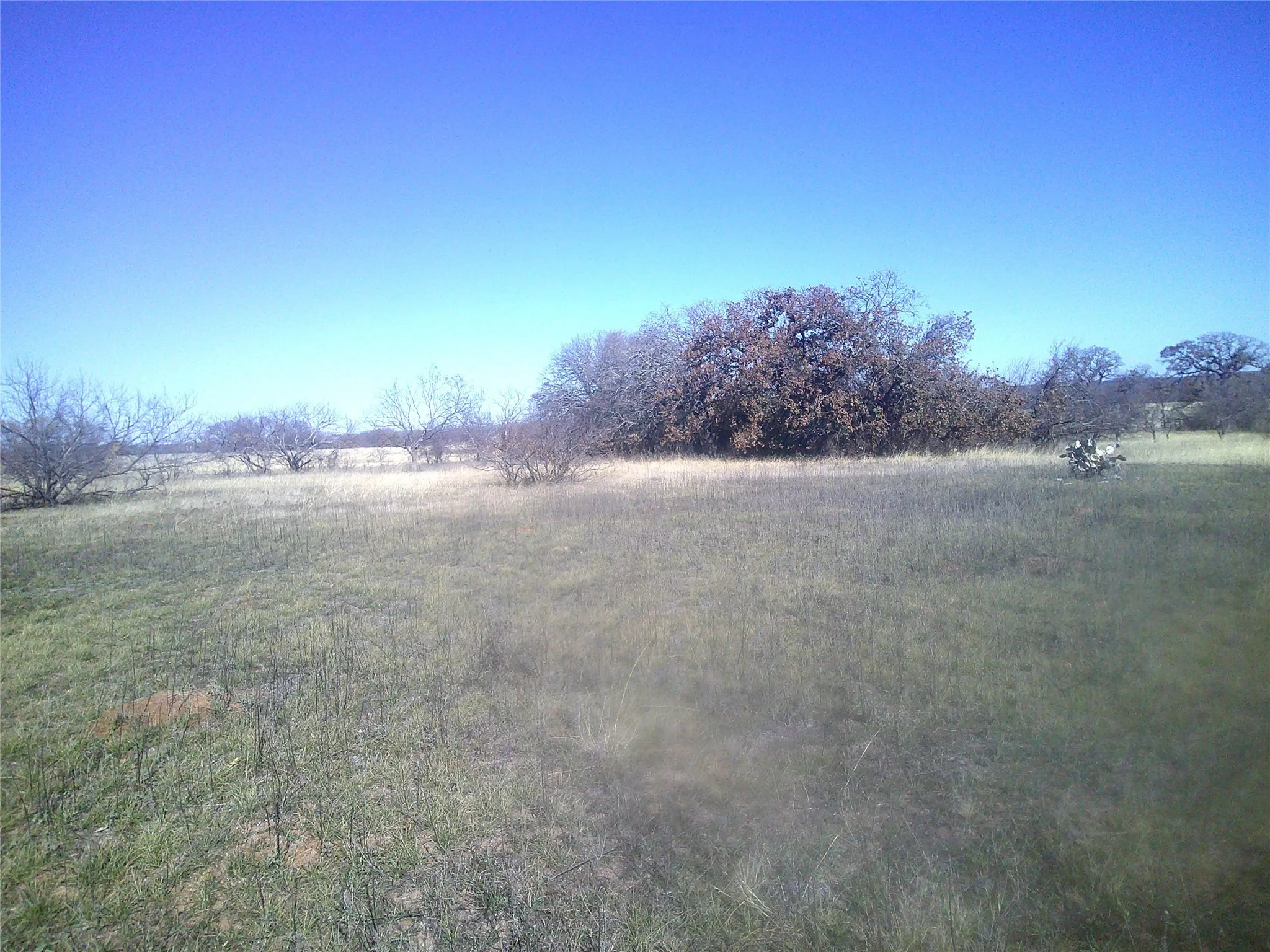 Unimproved Land For Sale in Wise County , Tract 1 CR 1750, Chico, Texas 76431, 0, 0, Garage spaces, 0 Sqft, built in 0, Price $189,500, mls#21138706, Real Estate Agent in Chico, Homes For Sale in Wise county, Homes For Sale in Chico, Realtor in Chico Texas, Real Estate Brokerage Independent Realty Texas, Luminita Cordes Realtor