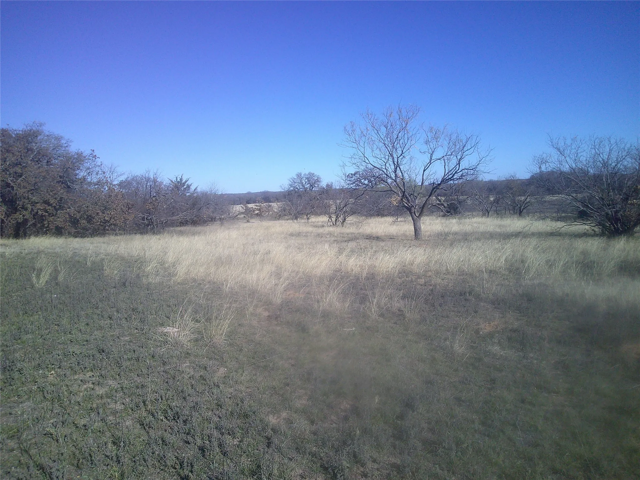 Unimproved Land For Sale in Wise County , Tract 1 CR 1750, Chico, Texas 76431, 0, 0, Garage spaces, 0 Sqft, built in 0, Price $189,500, mls#21138706, Real Estate Agent in Chico, Homes For Sale in Wise county, Homes For Sale in Chico, Realtor in Chico Texas, Real Estate Brokerage Independent Realty Texas, Luminita Cordes Realtor
