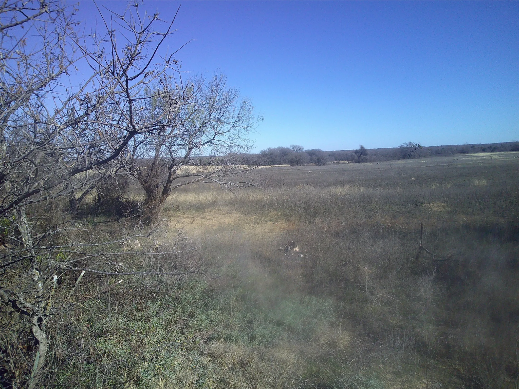 Unimproved Land For Sale in Wise County , Tract 1 CR 1750, Chico, Texas 76431, 0, 0, Garage spaces, 0 Sqft, built in 0, Price $189,500, mls#21138706, Real Estate Agent in Chico, Homes For Sale in Wise county, Homes For Sale in Chico, Realtor in Chico Texas, Real Estate Brokerage Independent Realty Texas, Luminita Cordes Realtor