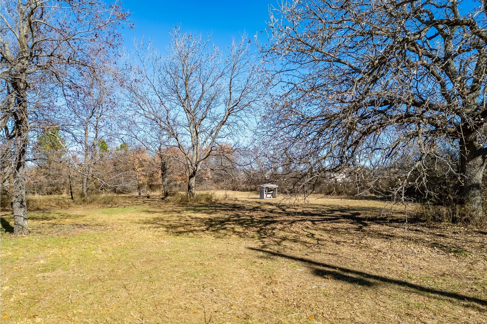 Unimproved Land For Sale in Callahan County , 4918 PR 5272, Clyde, Texas 79510, 0, 0, Garage spaces, 0 Sqft, built in 0, mls#21138362, Real Estate Agent in Clyde, Homes For Sale in Callahan county, Homes For Sale in Clyde, Realtor in Clyde Texas, Real Estate Brokerage Independent Realty Texas, Luminita Cordes Realtor