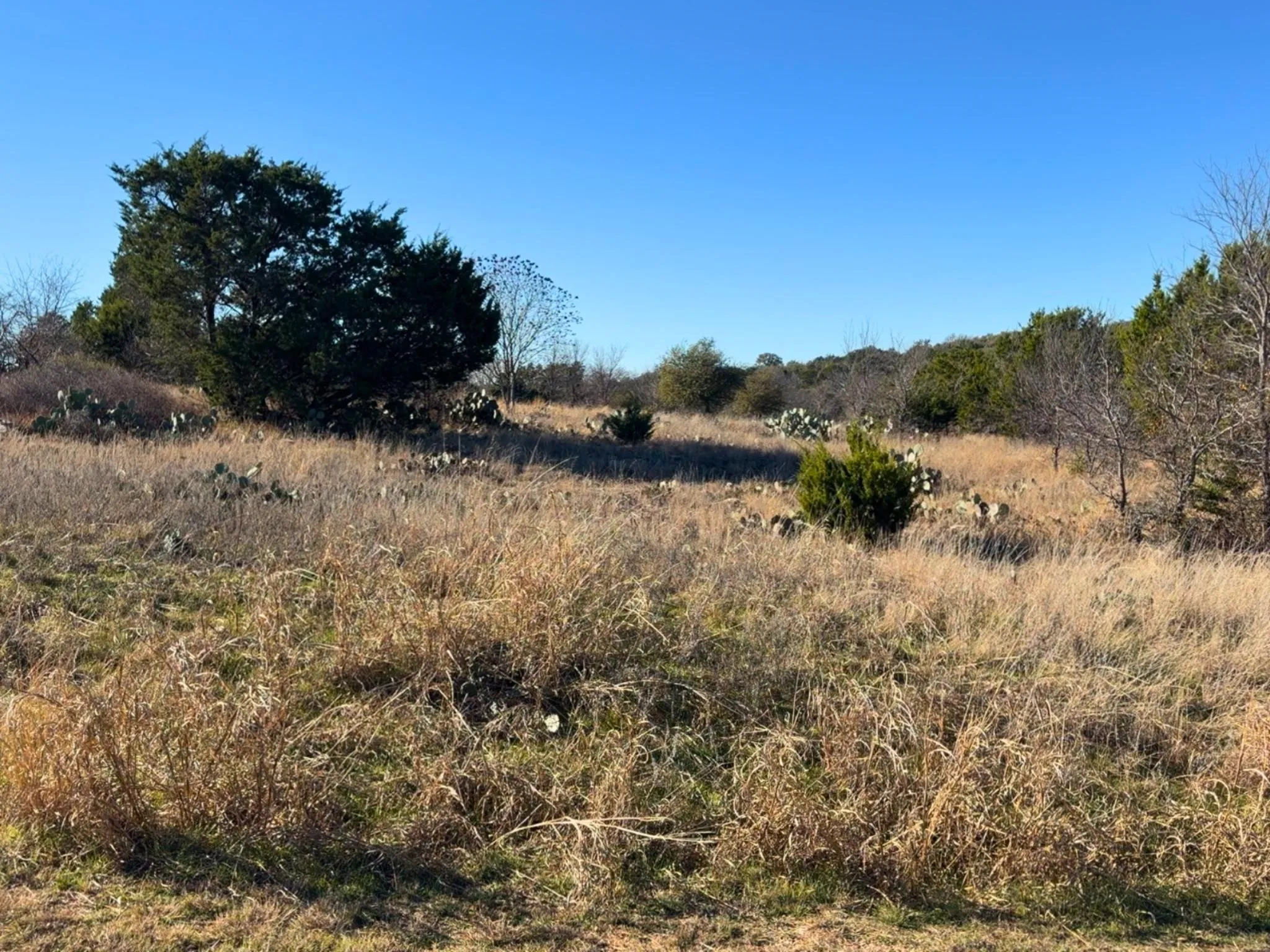 Unimproved Land For Sale in Palo Pinto County , Lot 115 Balleycastle Drive, Graford, Texas 76449, 0, 0, Garage spaces, 0 Sqft, built in 0, Price $47,400, mls#21139015, Real Estate Agent in Graford, Homes For Sale in Palo Pinto county, Homes For Sale in Graford, Realtor in Graford Texas, Real Estate Brokerage Independent Realty Texas, Luminita Cordes Realtor